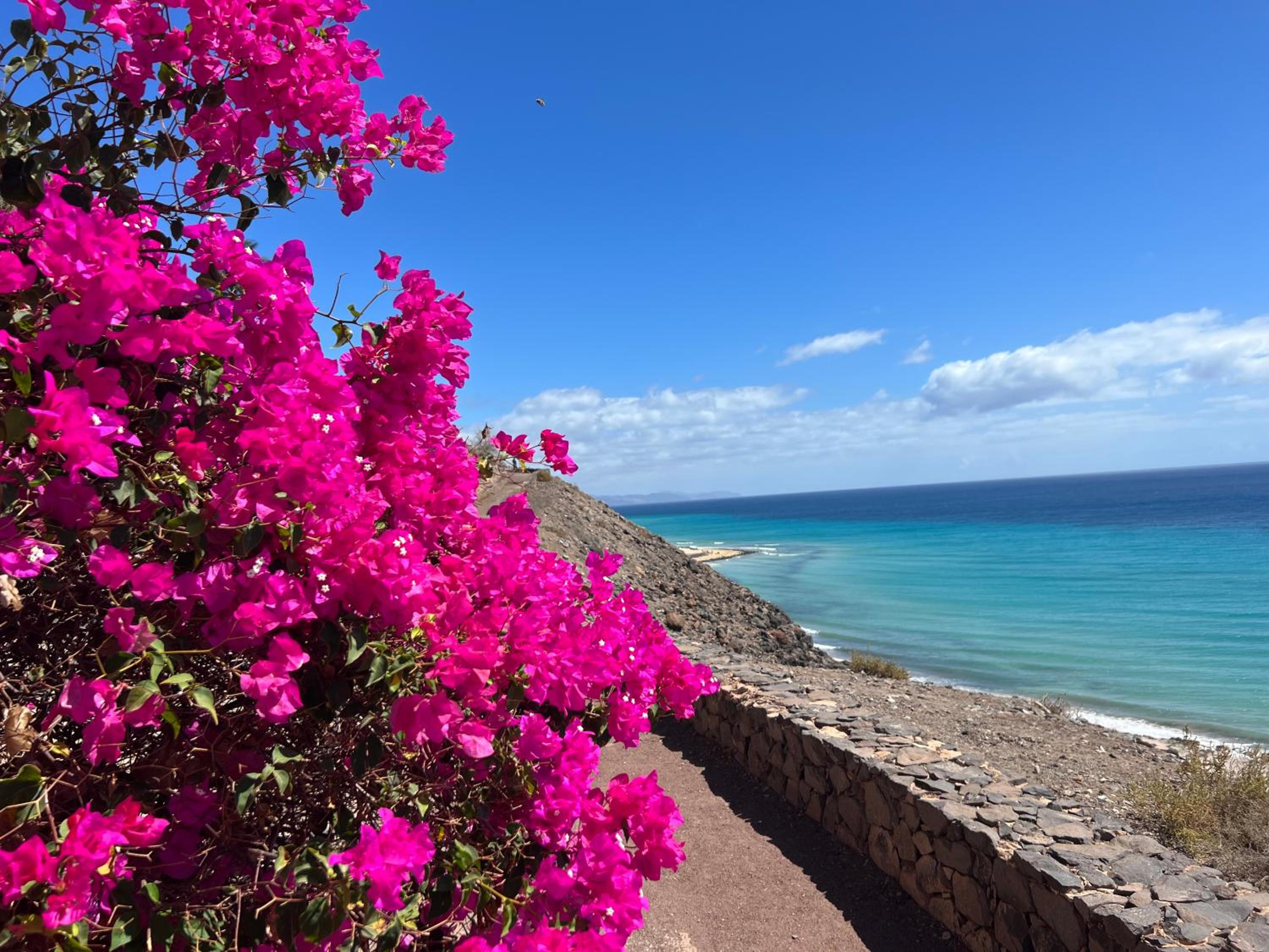 Apartamento Vista Mar ,Playas de Jandia Esquinzo