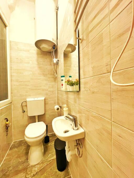Central Studio Flat view 3