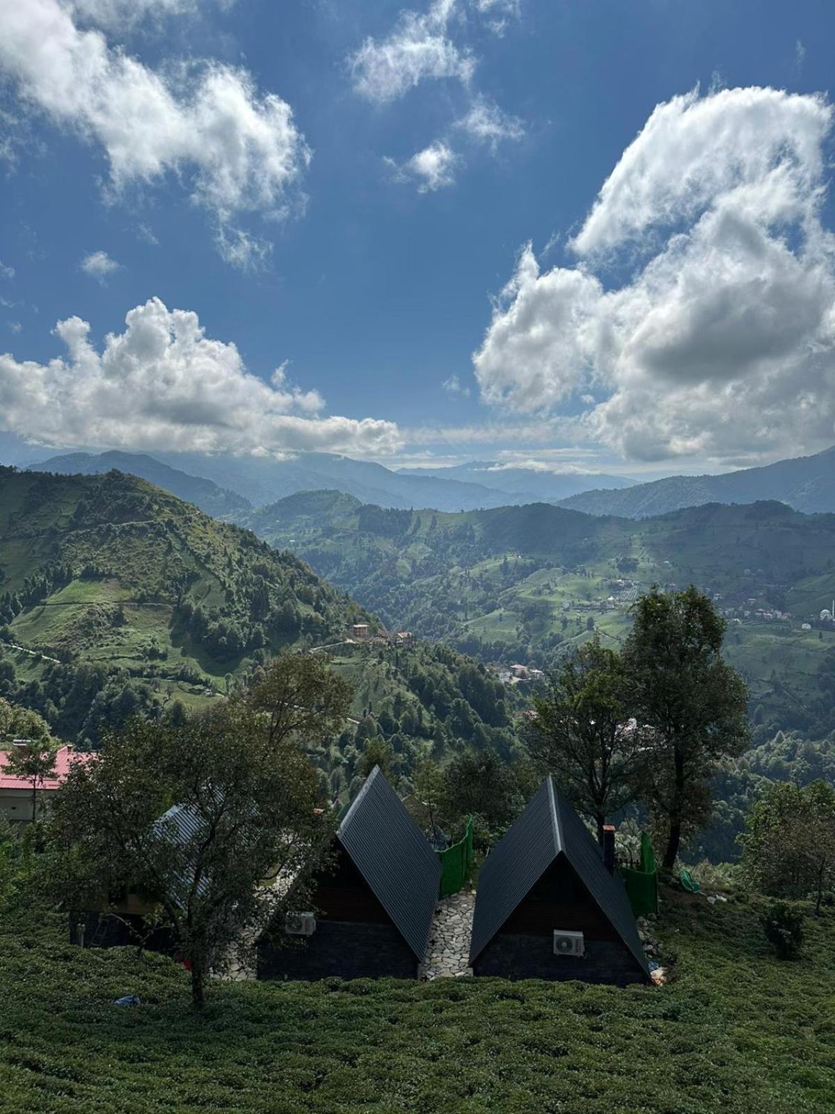 Eloi Suit Bungalov view 5