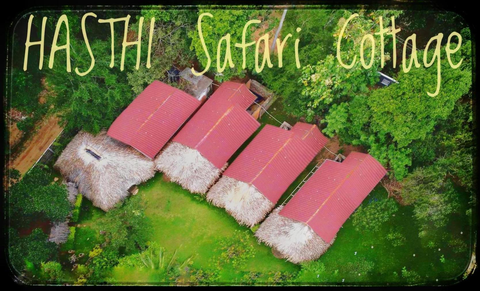 Hasthi Safari Cottage view 2