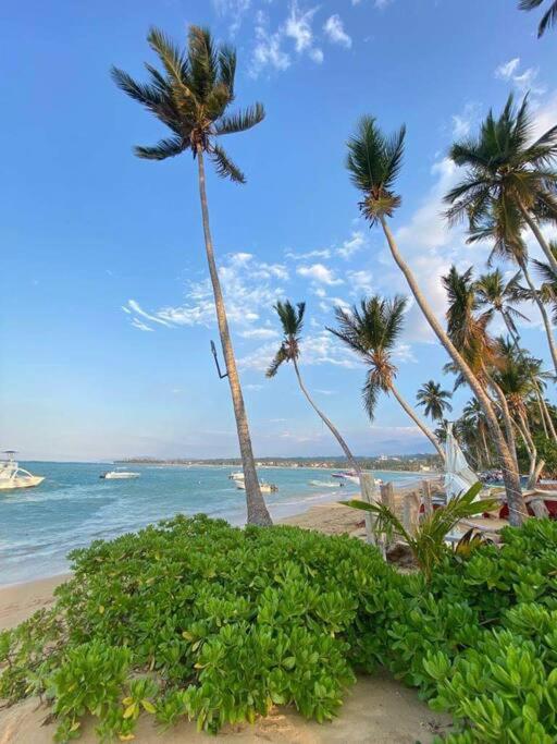Suite prestige Abou Dhabi