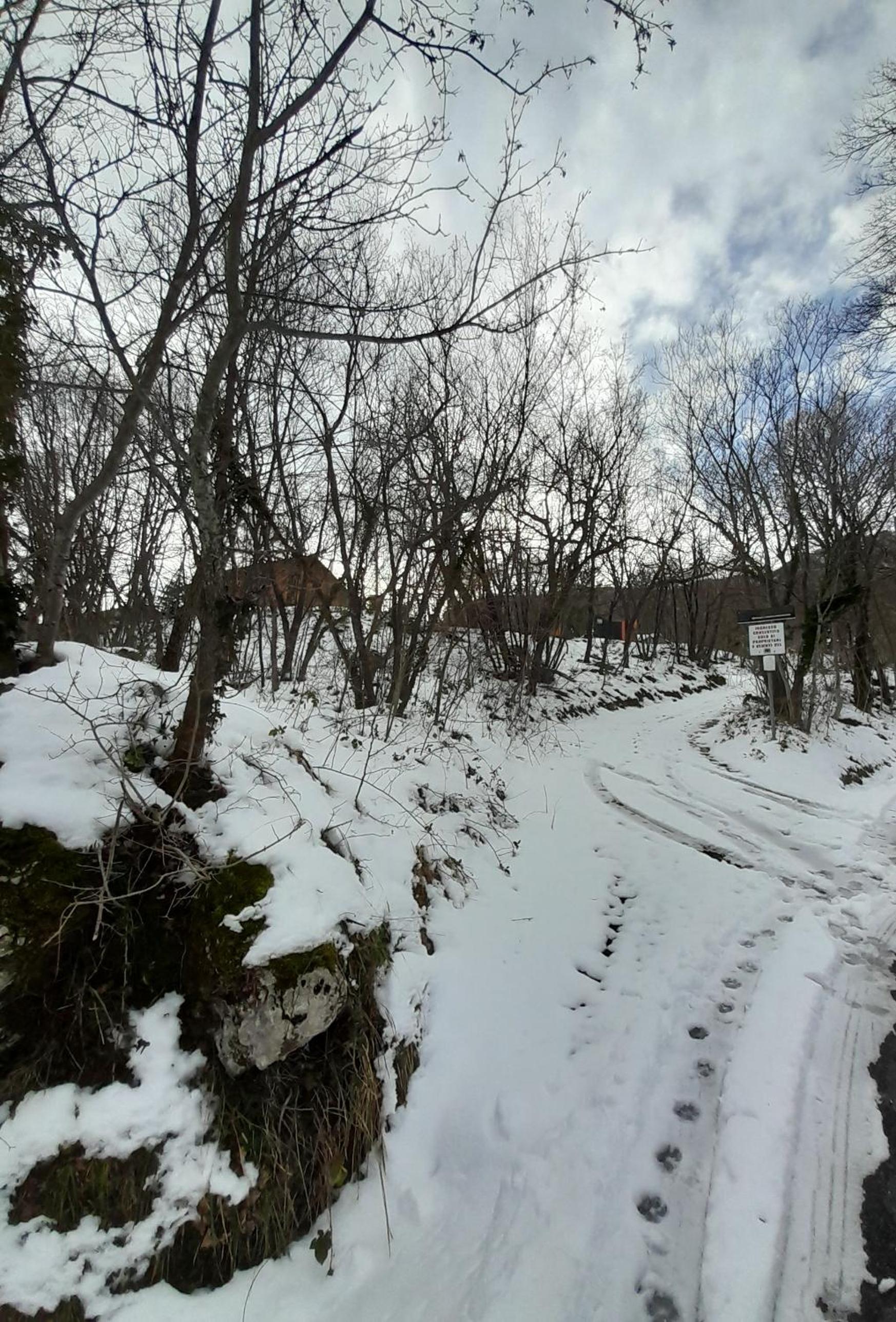 Photo 30