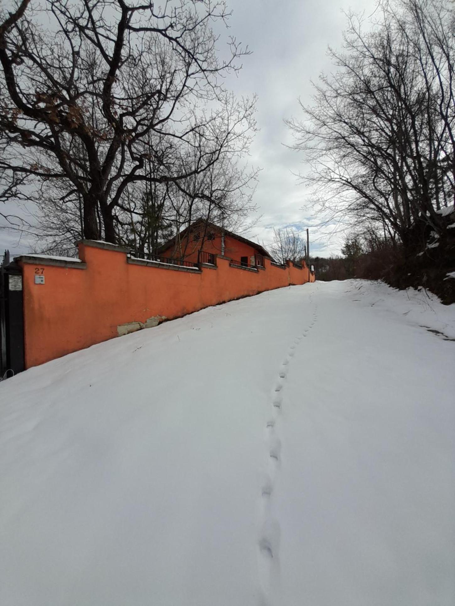 Photo 31