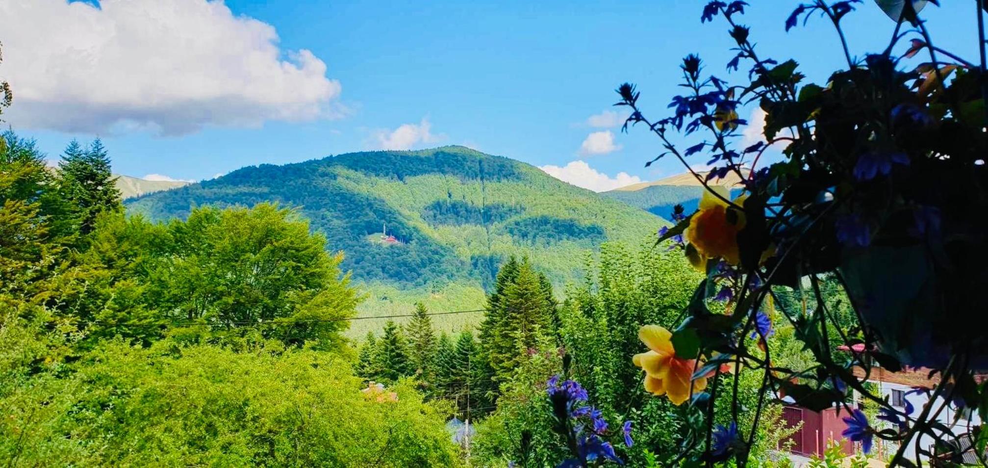 Iepurasul Sinaia