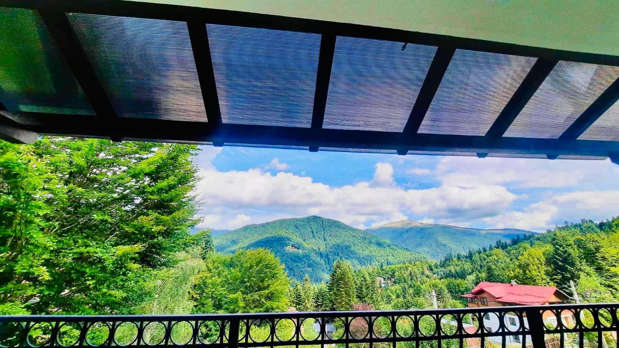 Iepurasul Sinaia