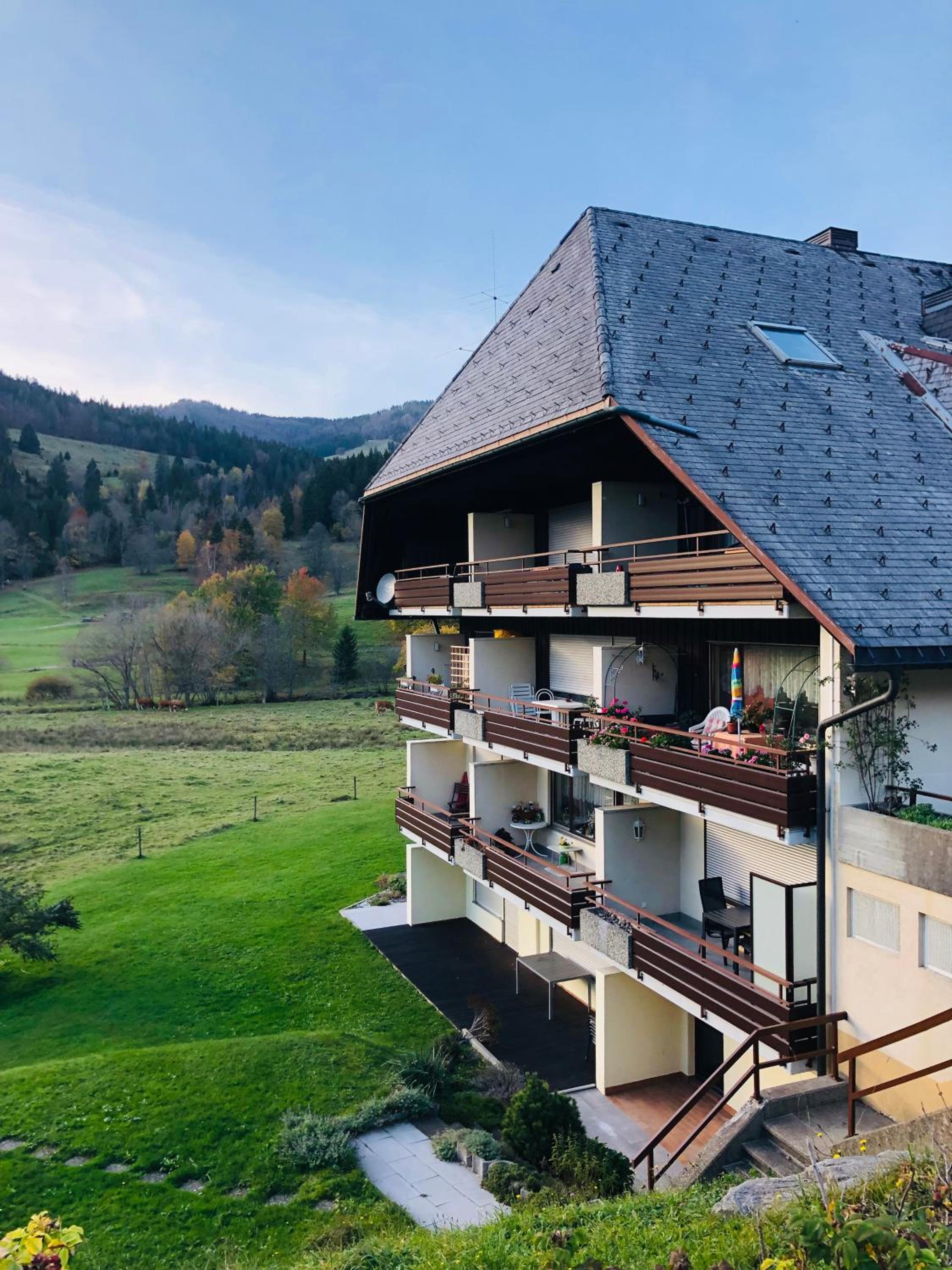 Schwarzwald Loft Panoramablick Menzenschwand