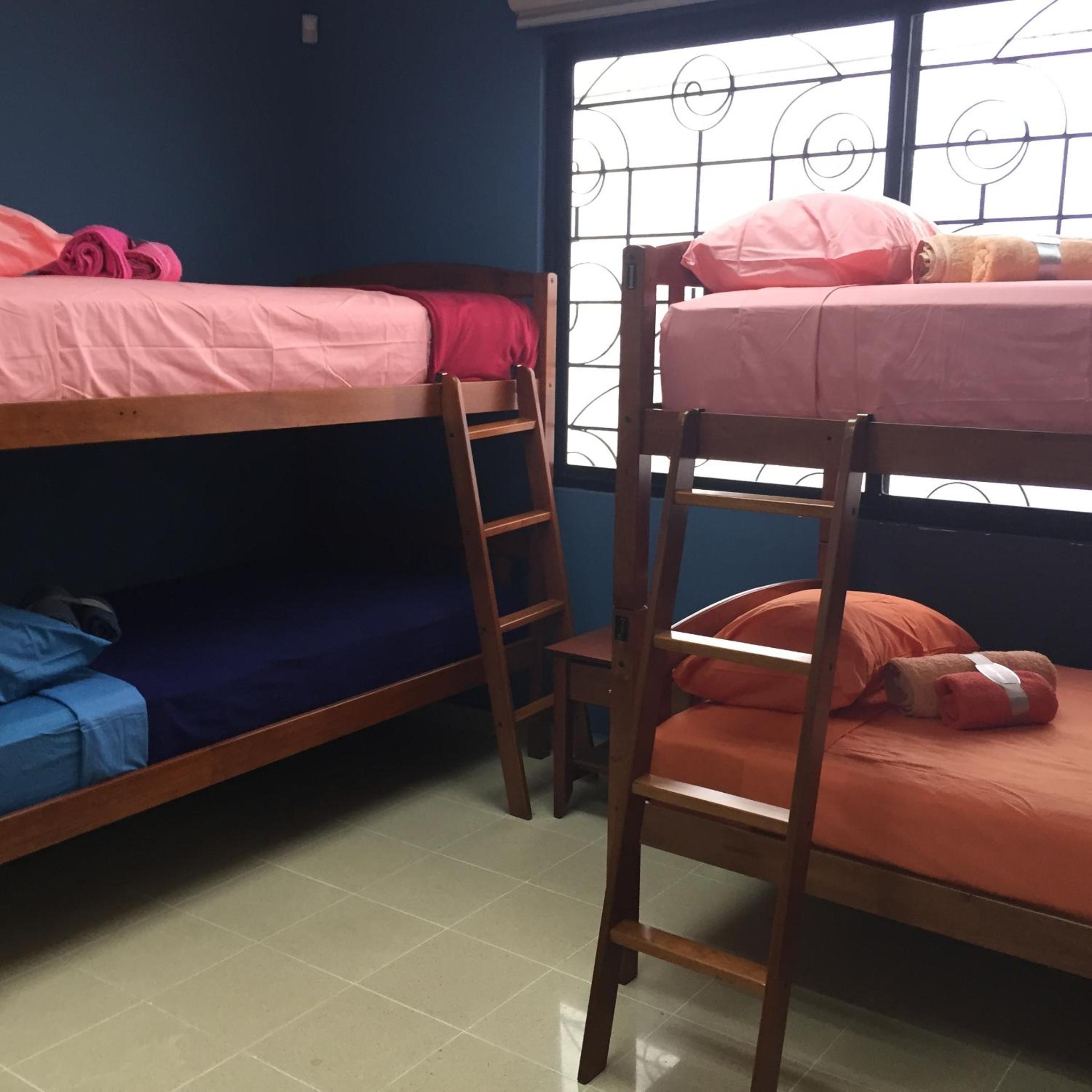 Panama Hat Hostel view 5