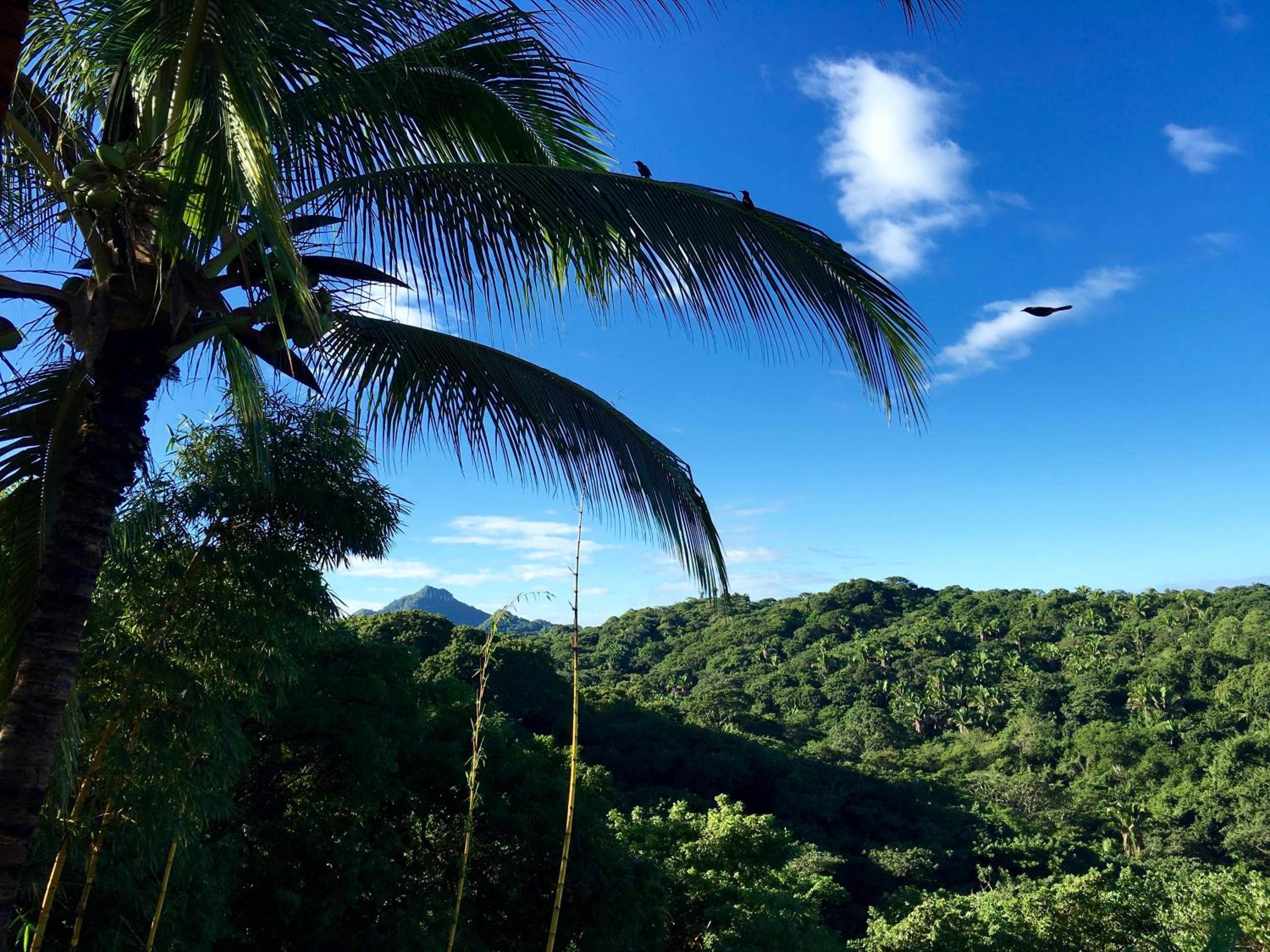 Villa Karuna Sayulita
