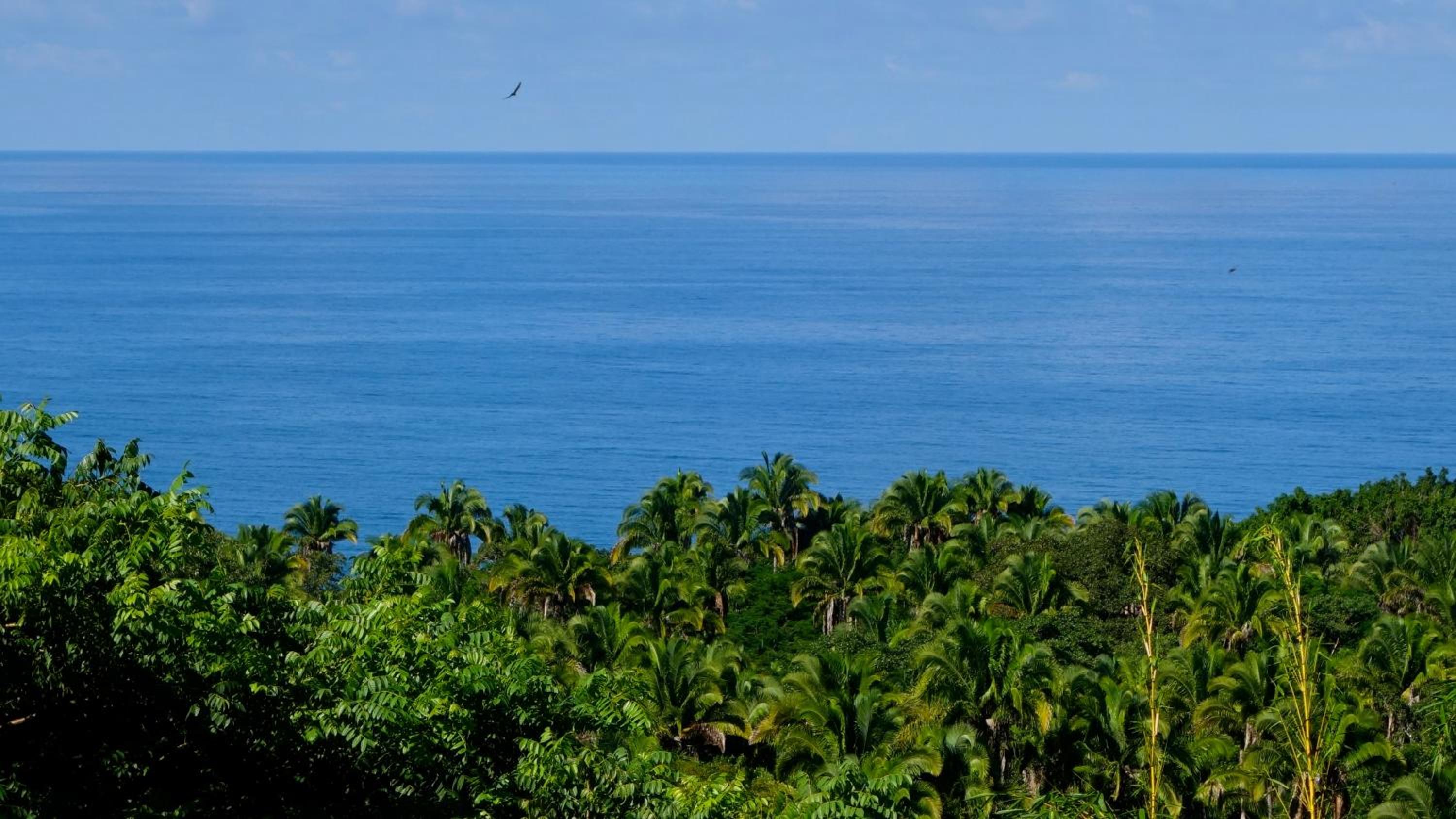 Villa Karuna Sayulita