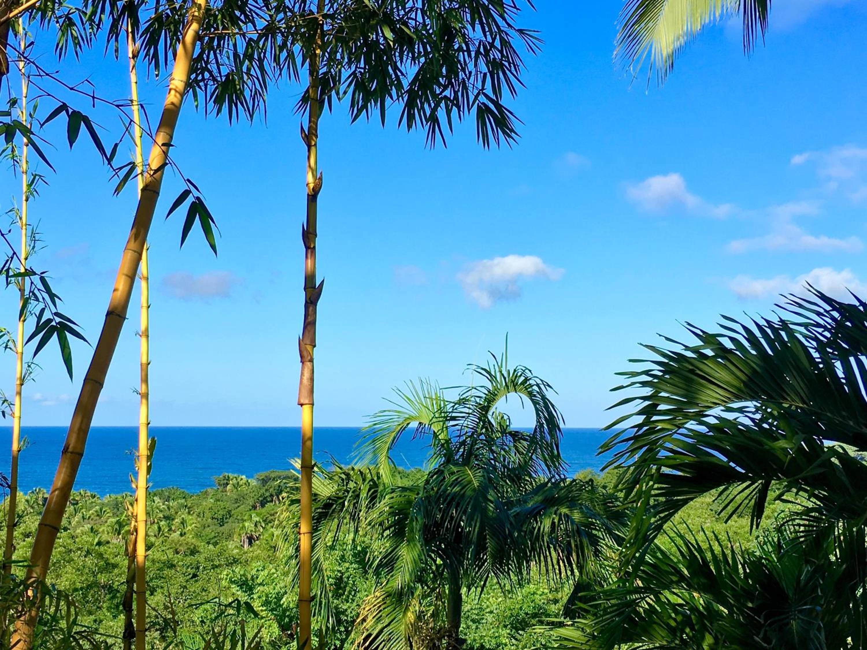 Villa Karuna Sayulita