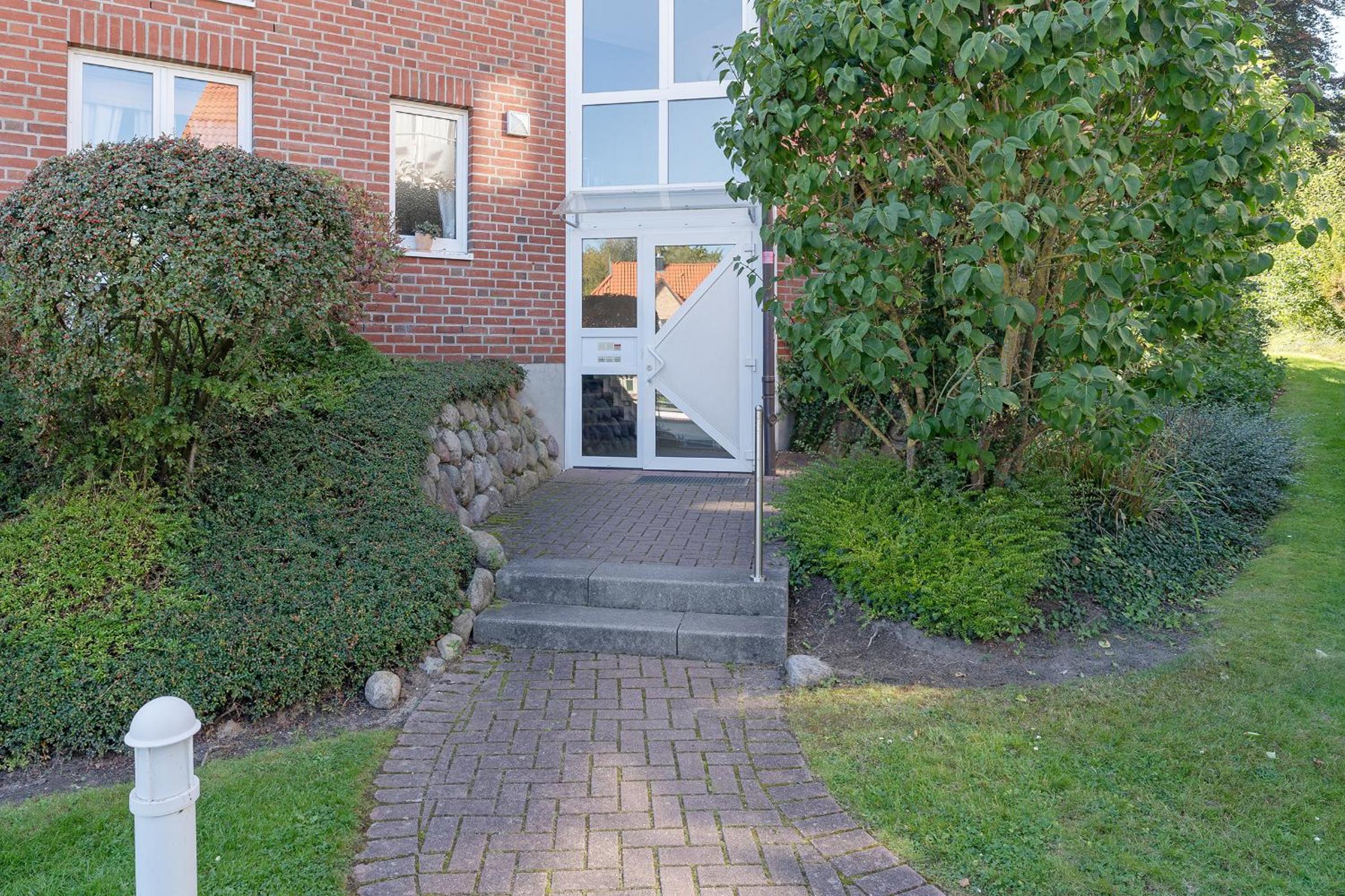 Zaubermuschel