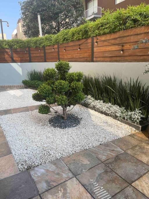 Hermoso Departamento al Sur de la Ciudad de Mexico
