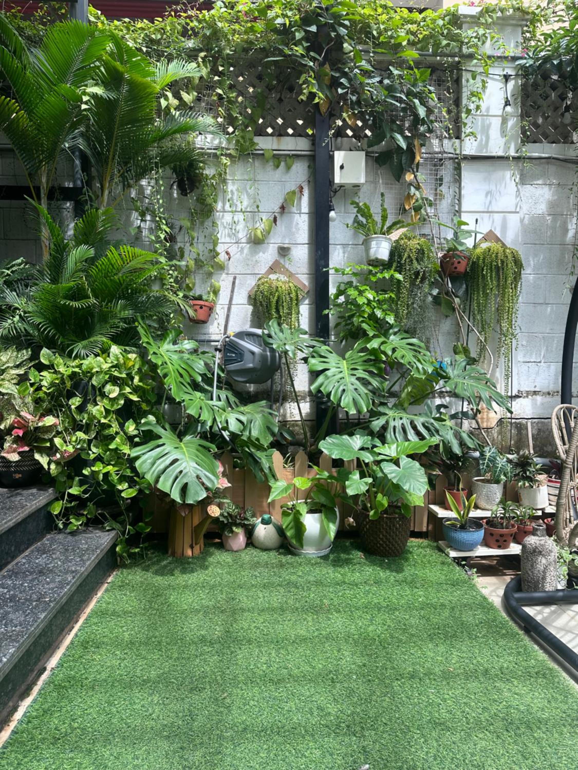 Homey Apartment
