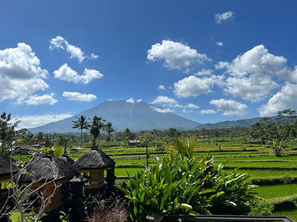 Jero Tumbuk Private Villa view 3