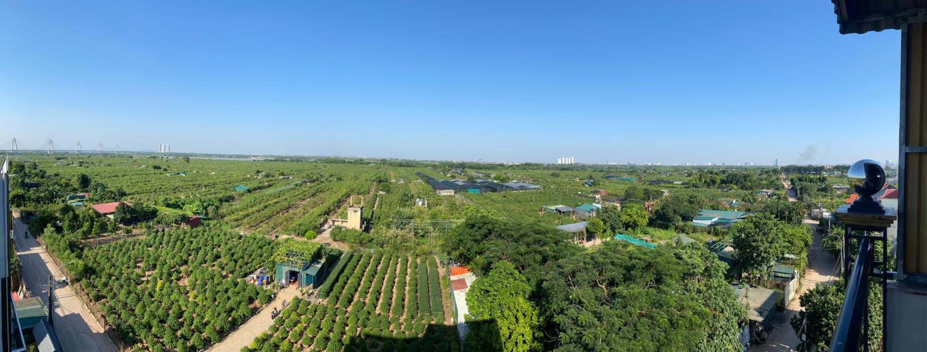 Panorama green view studio 26451