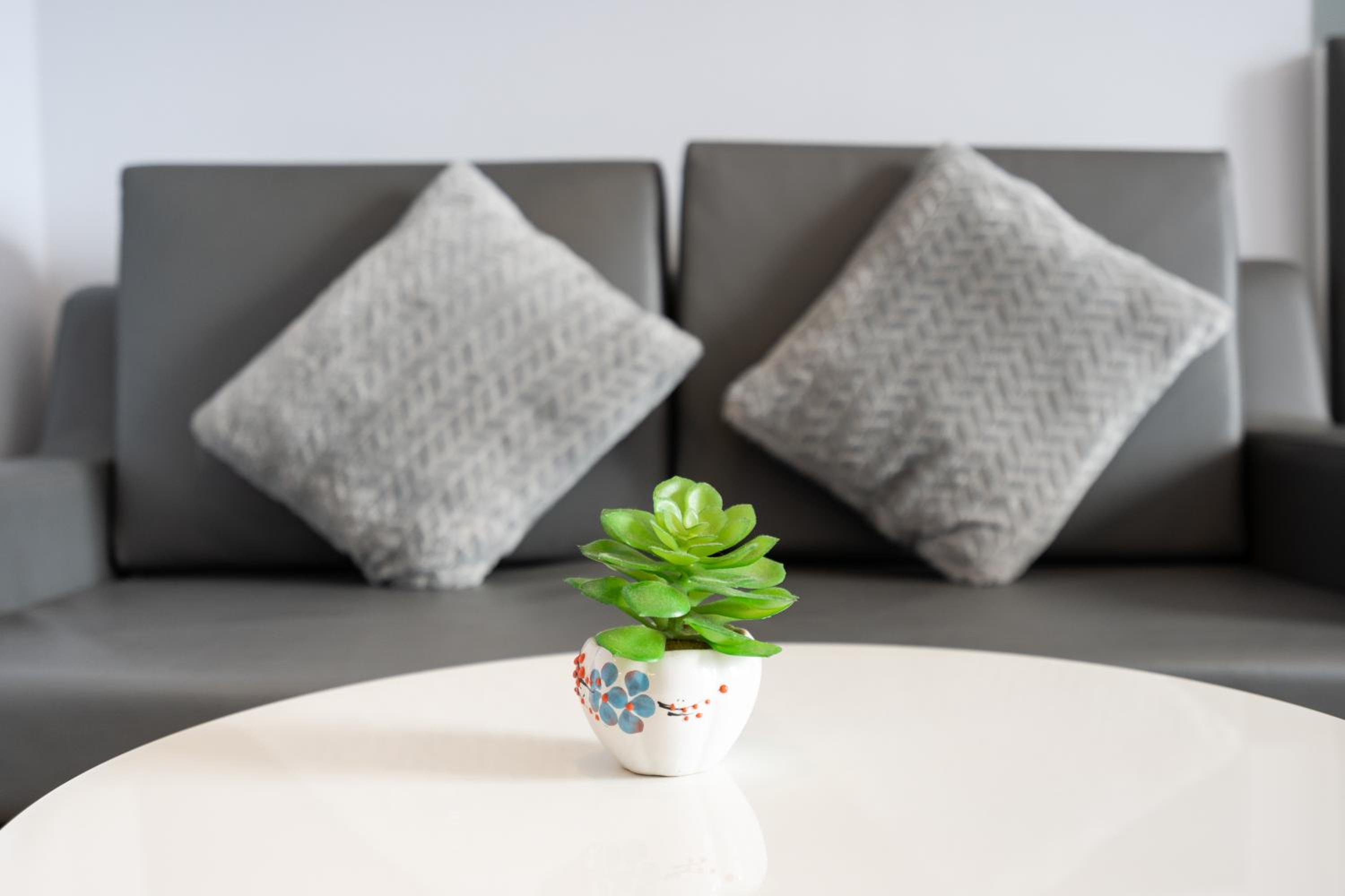 Miredu apartment - in CBD