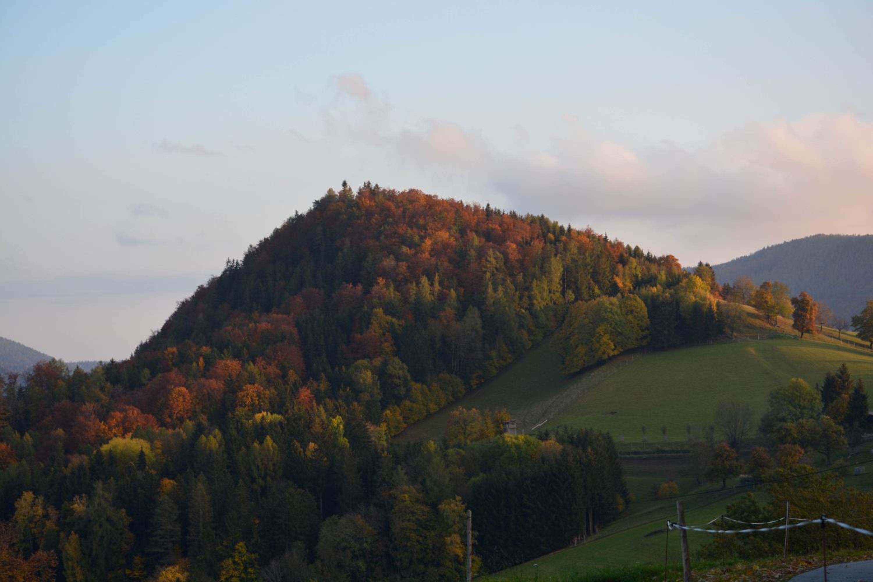 Ferienhaus Reisinger Promschhof