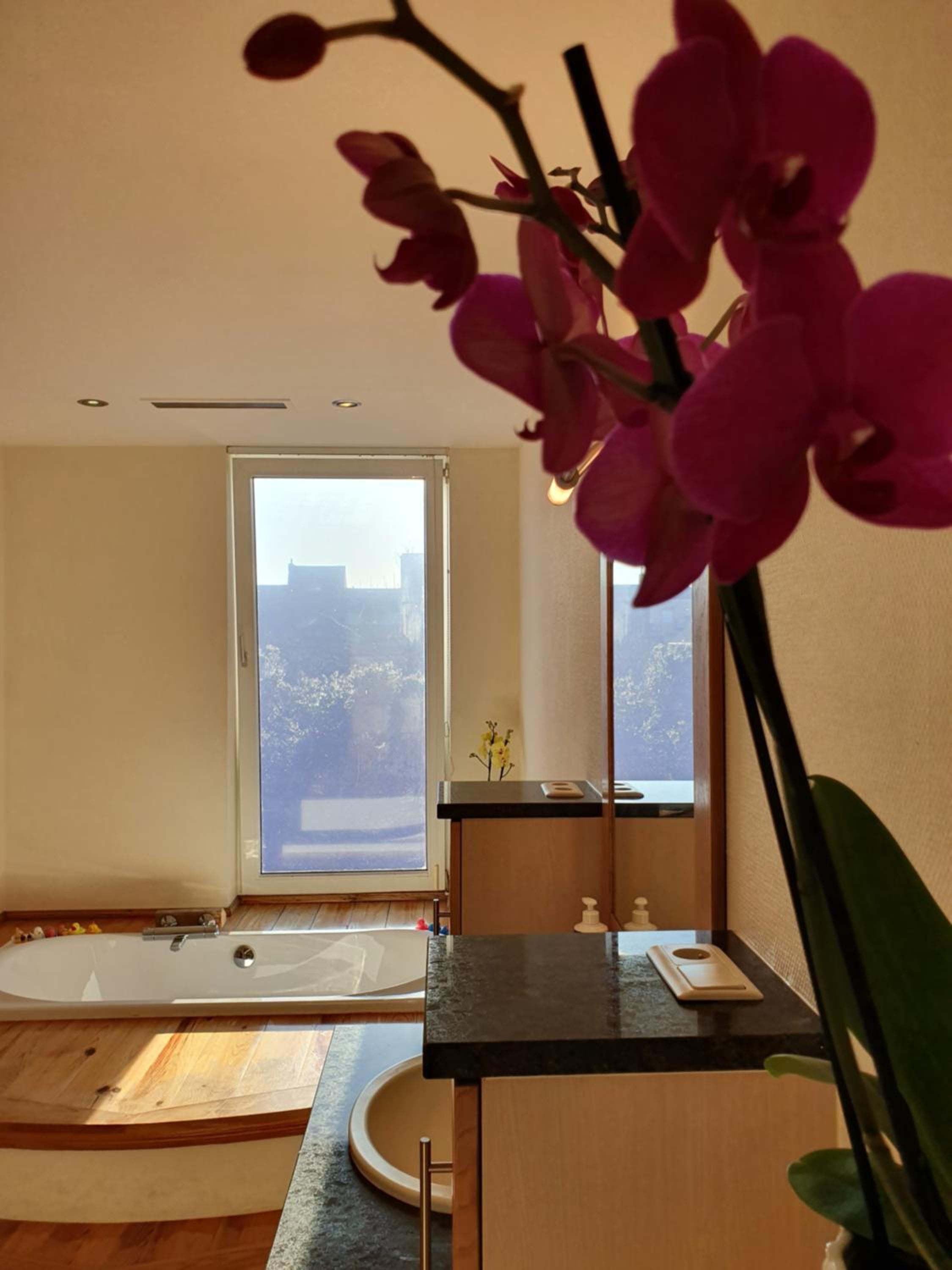 Huize La Passion vacationhouse 10 min walk from the sea