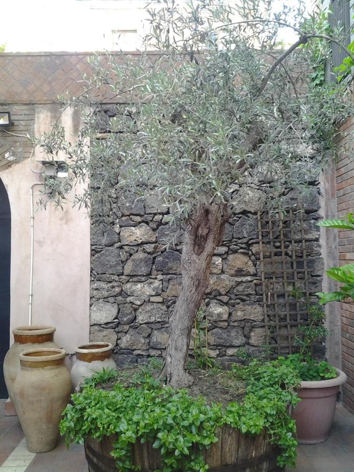 Relais Chiesa Madre - Rooms and Apartments