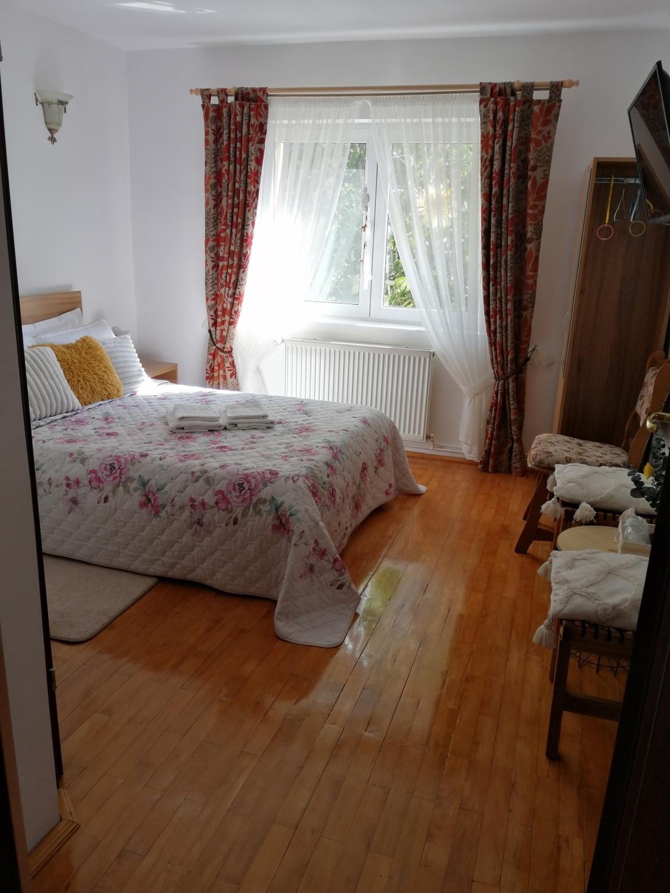 Pensiunea Transilvania Lodge view 3