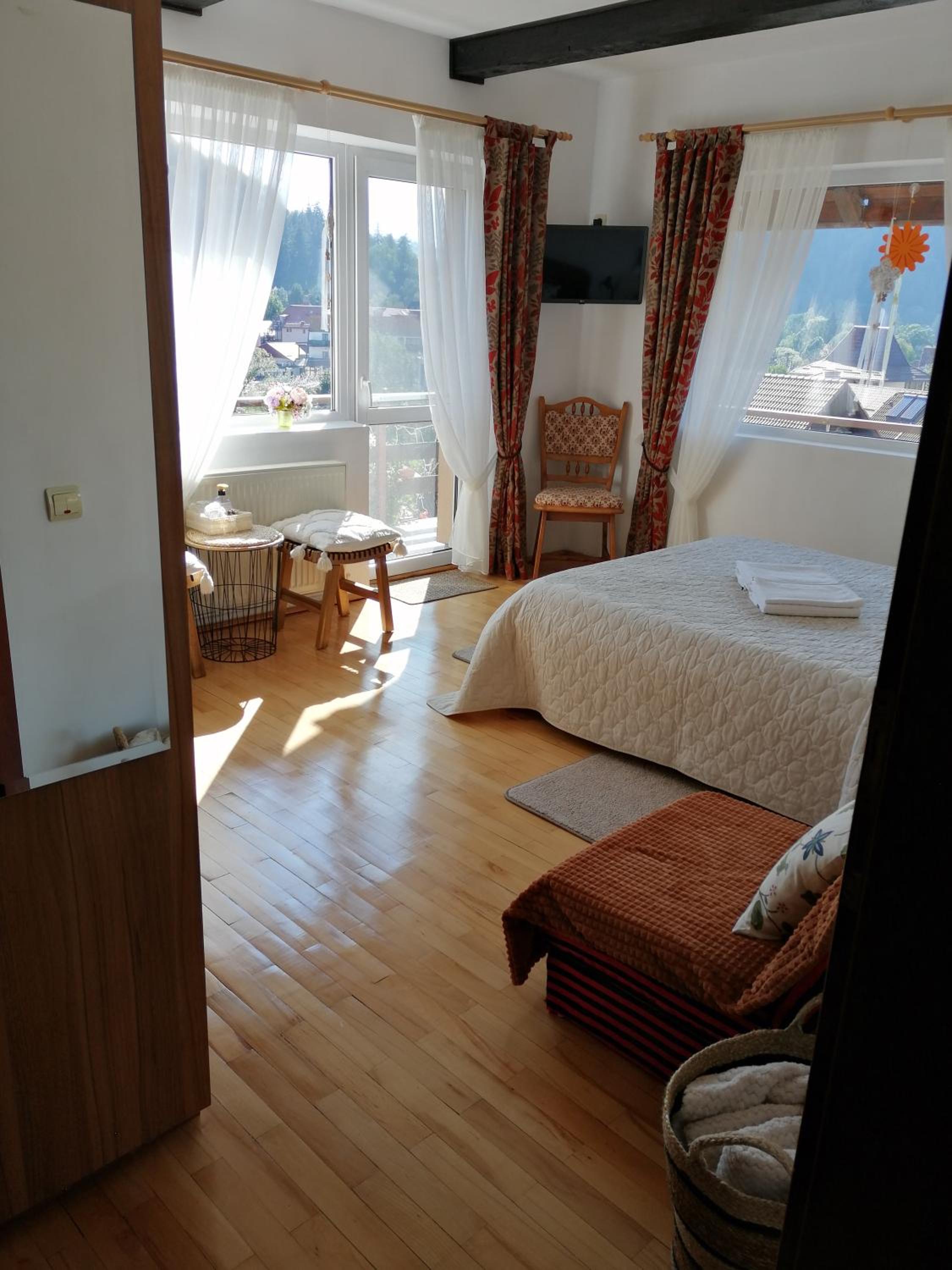 Pensiunea Transilvania Lodge view 2