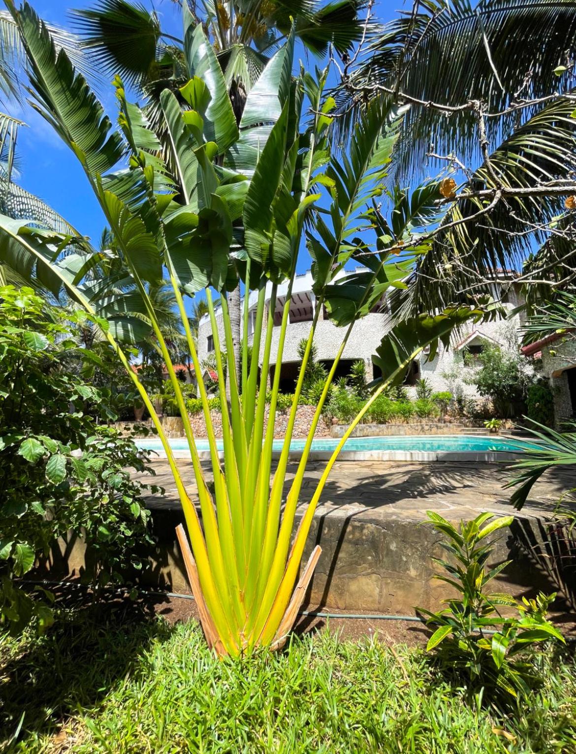 TEMBO Village Watamu