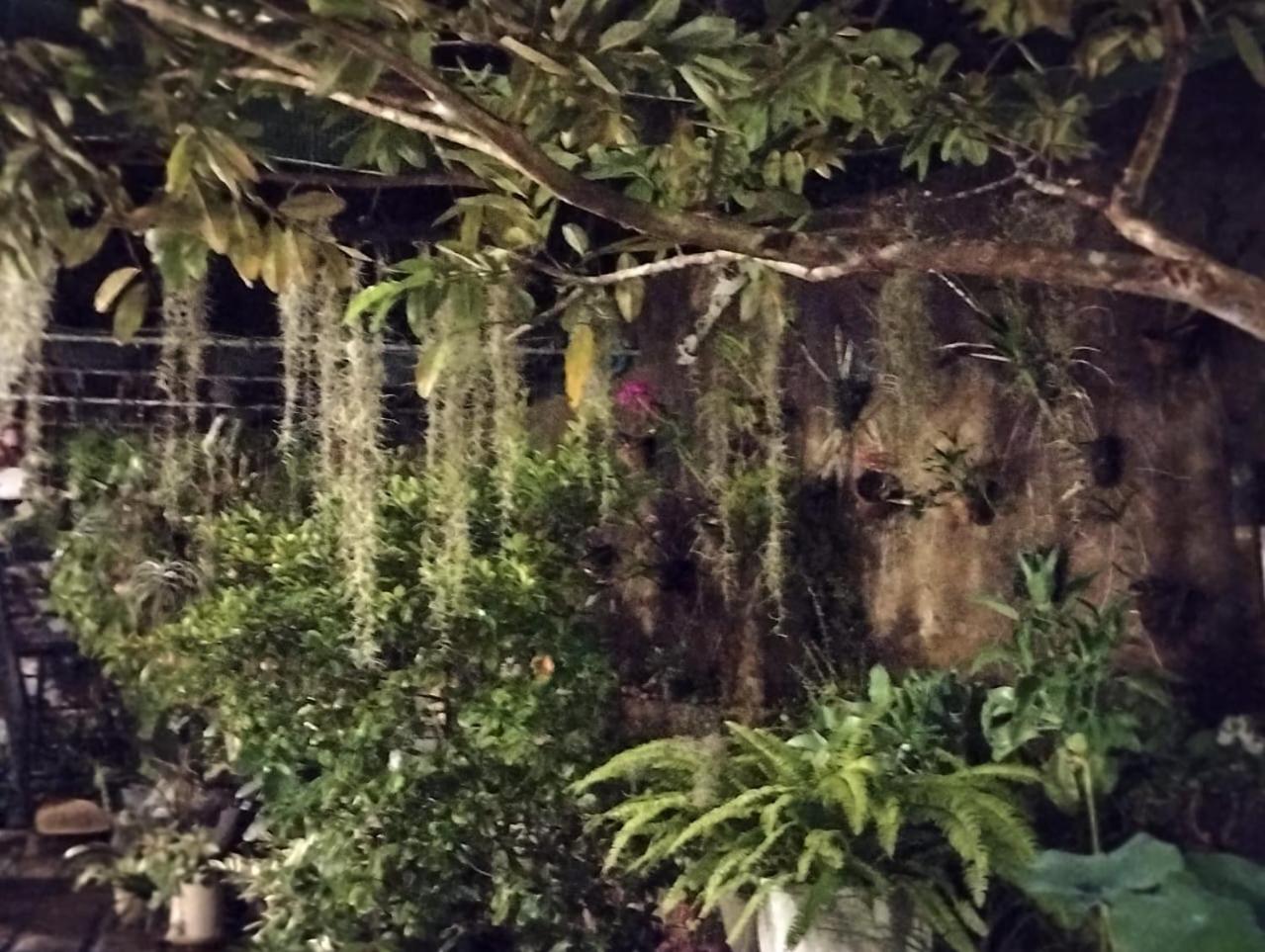 Sinali Villa view 3