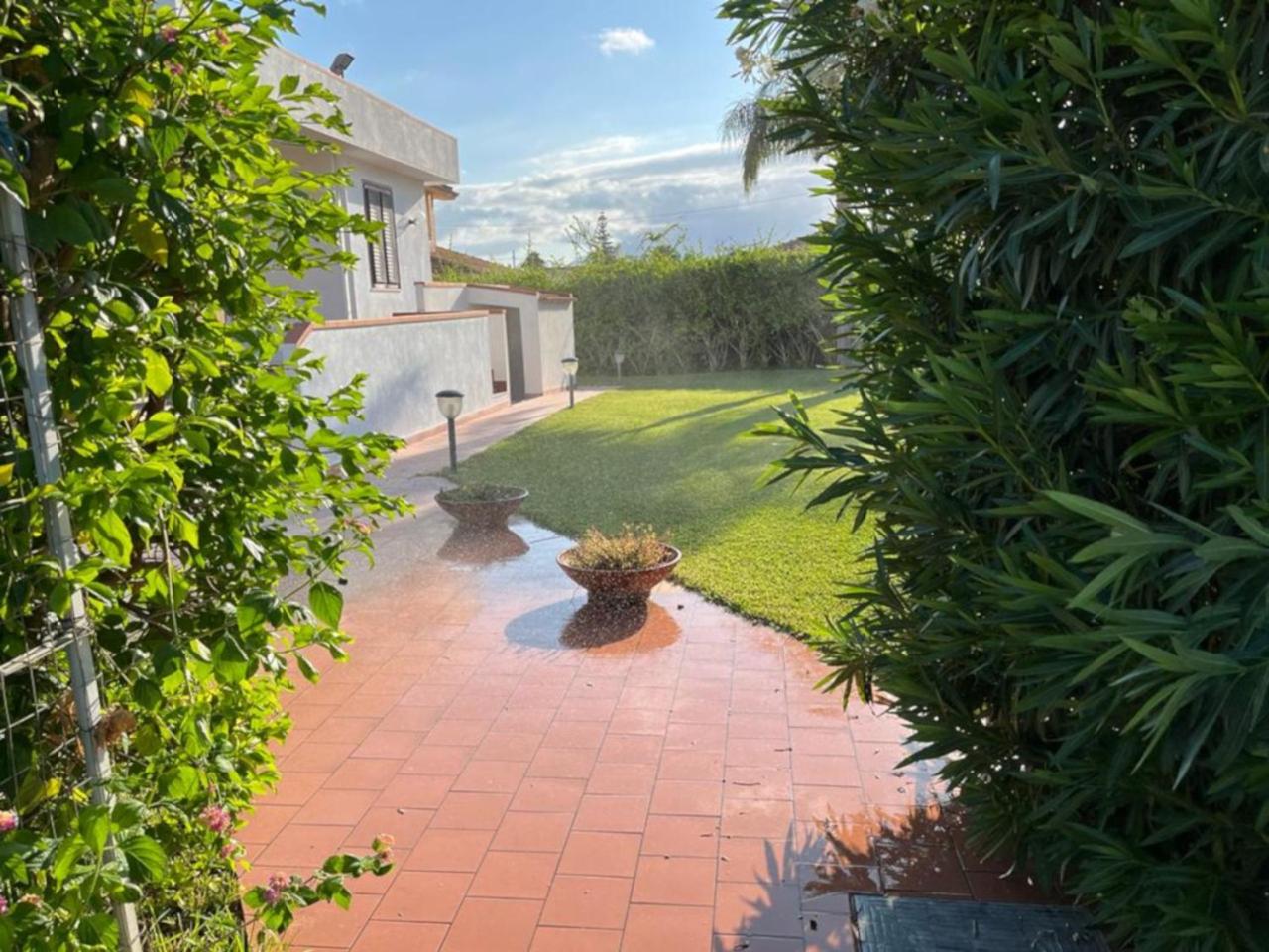 garden