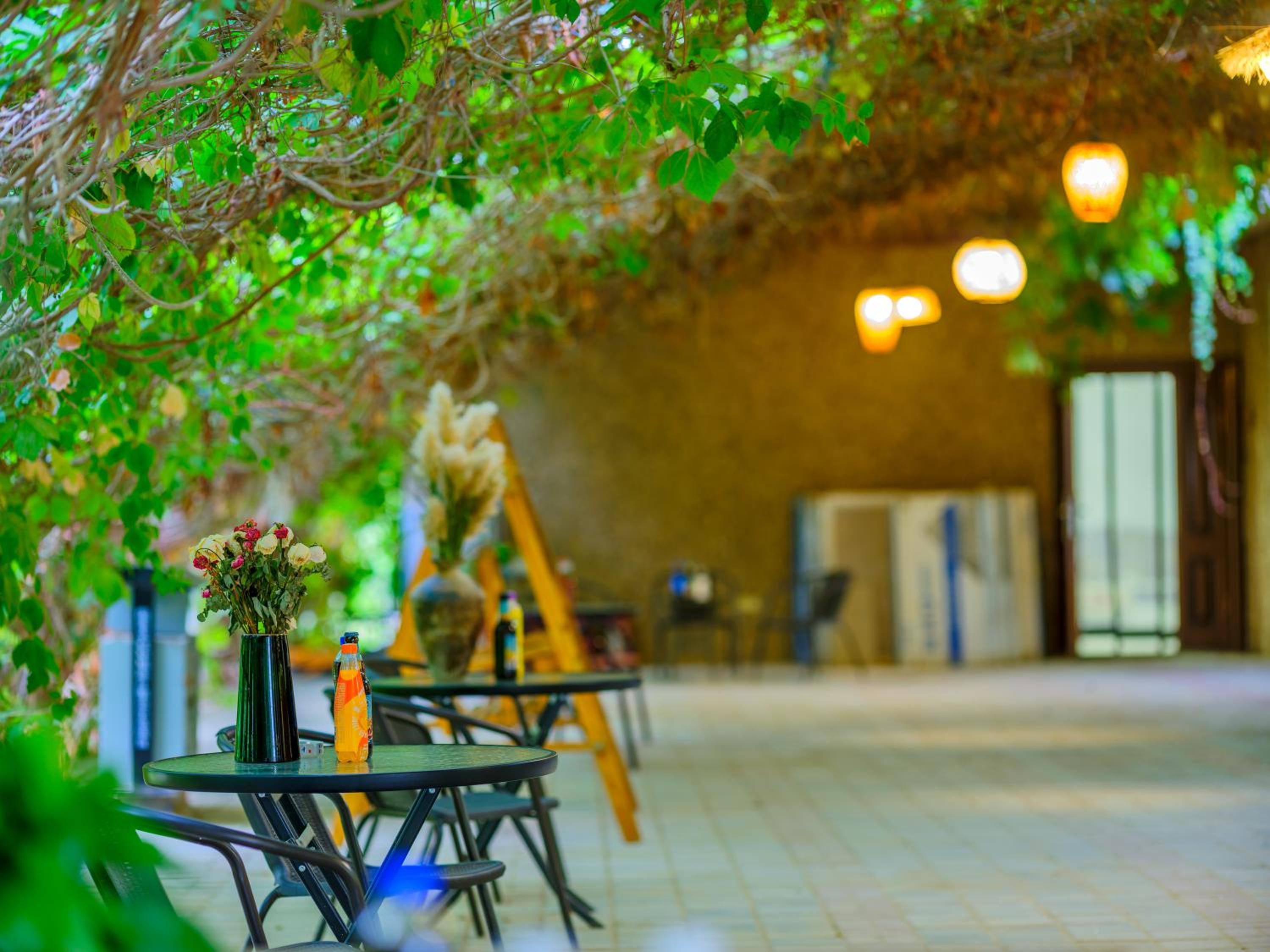 Dunhuang Hu Yang Inn