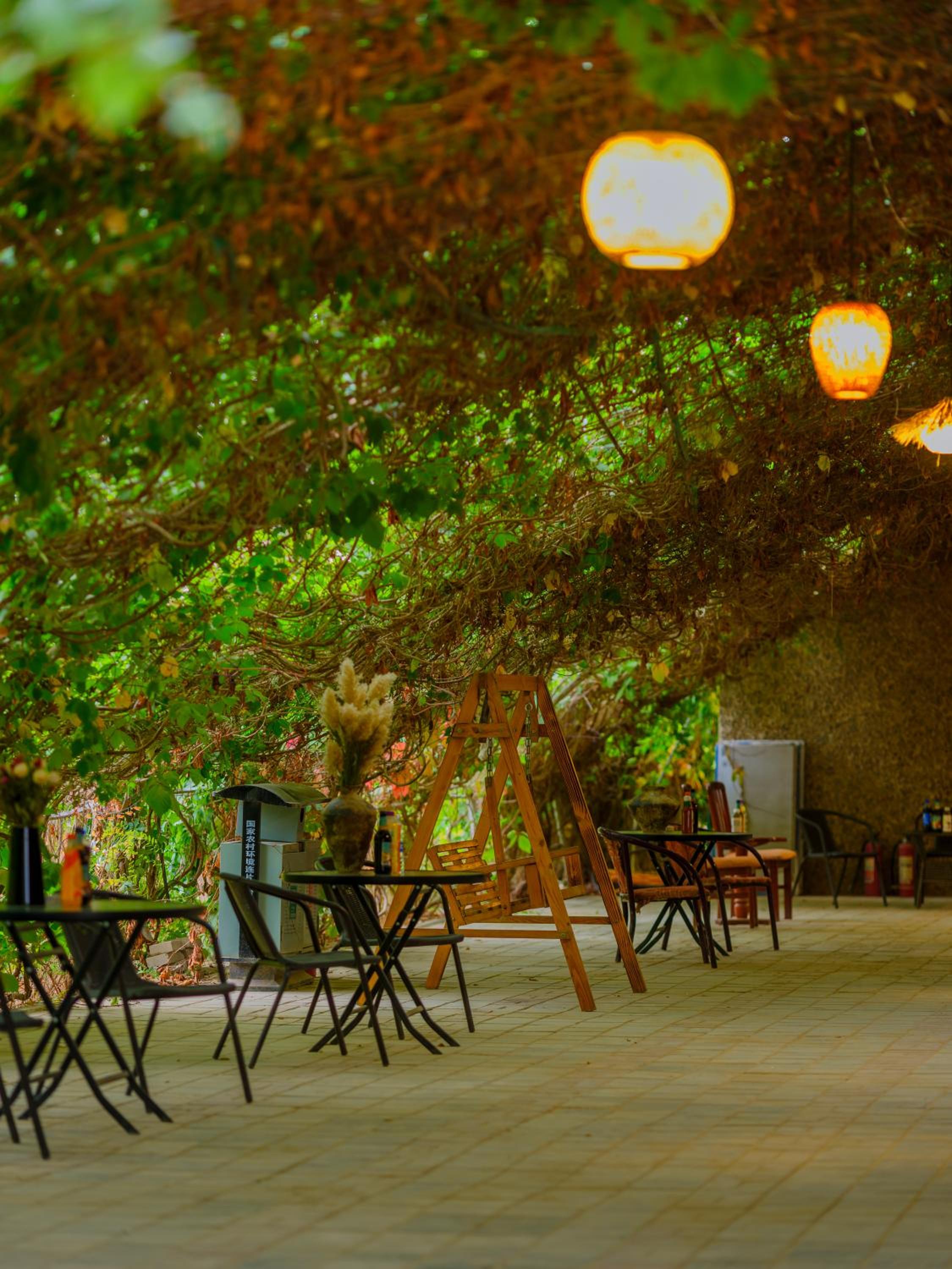 Dunhuang Hu Yang Inn