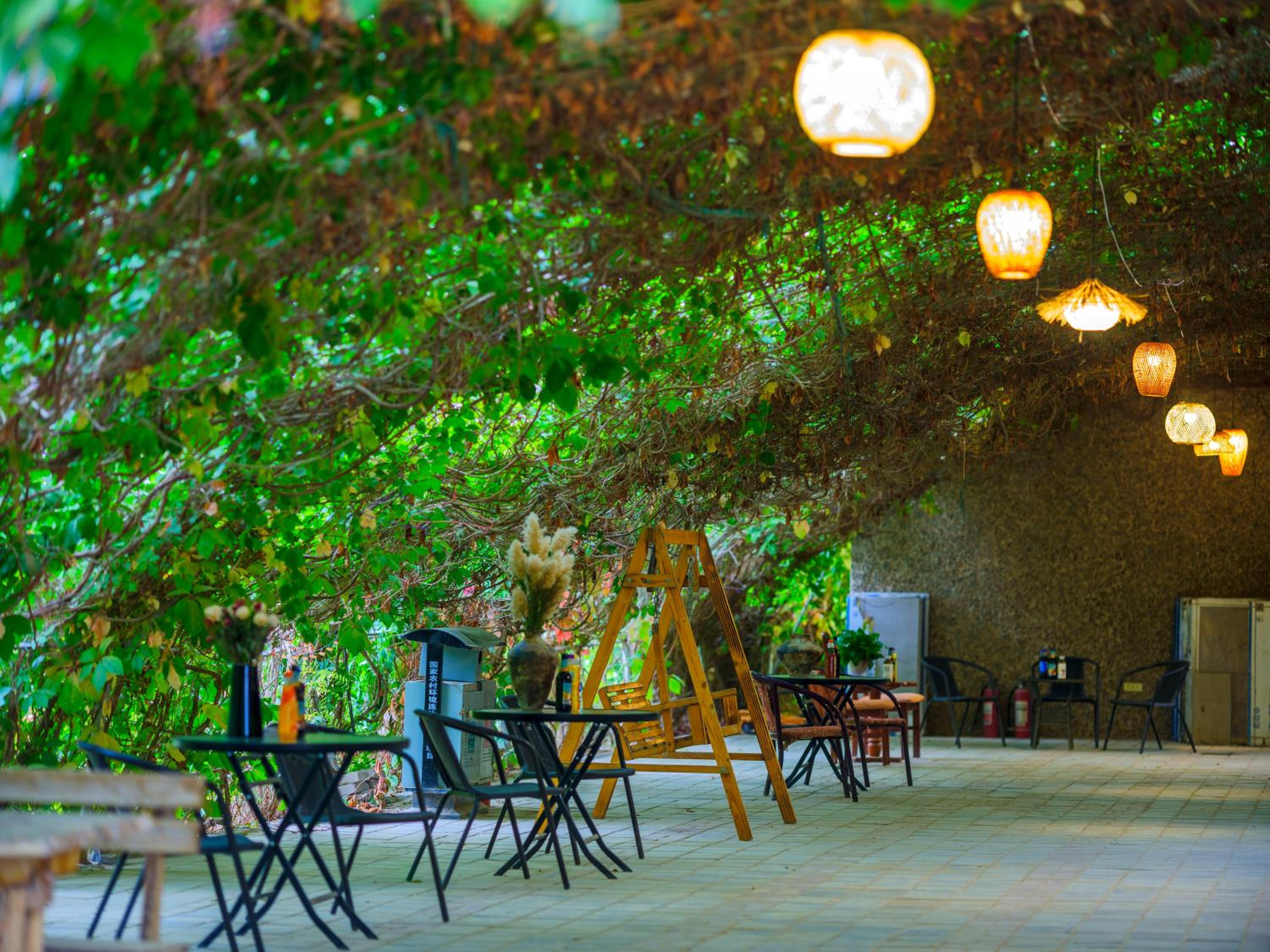 Dunhuang Hu Yang Inn