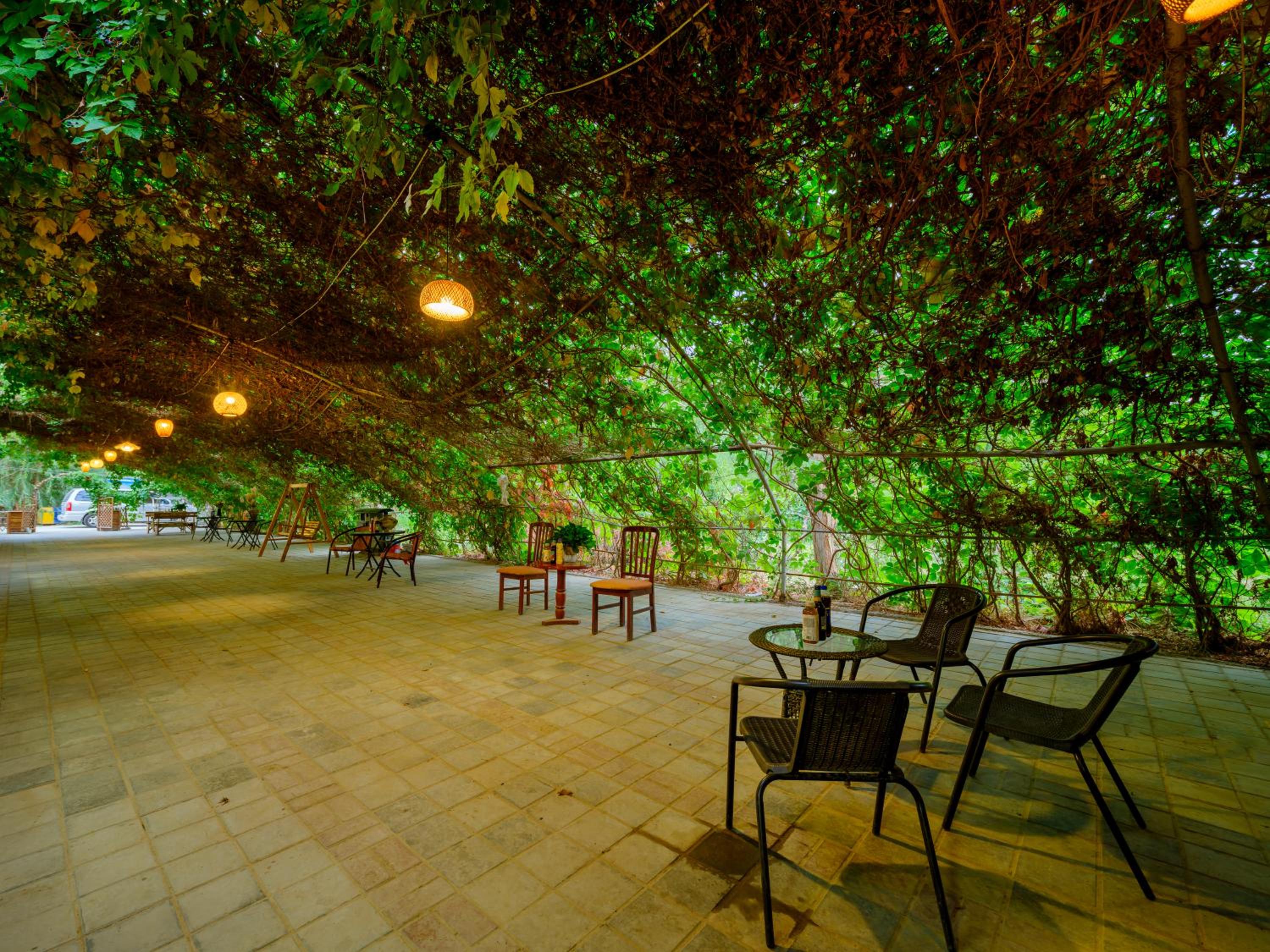 Dunhuang Hu Yang Inn
