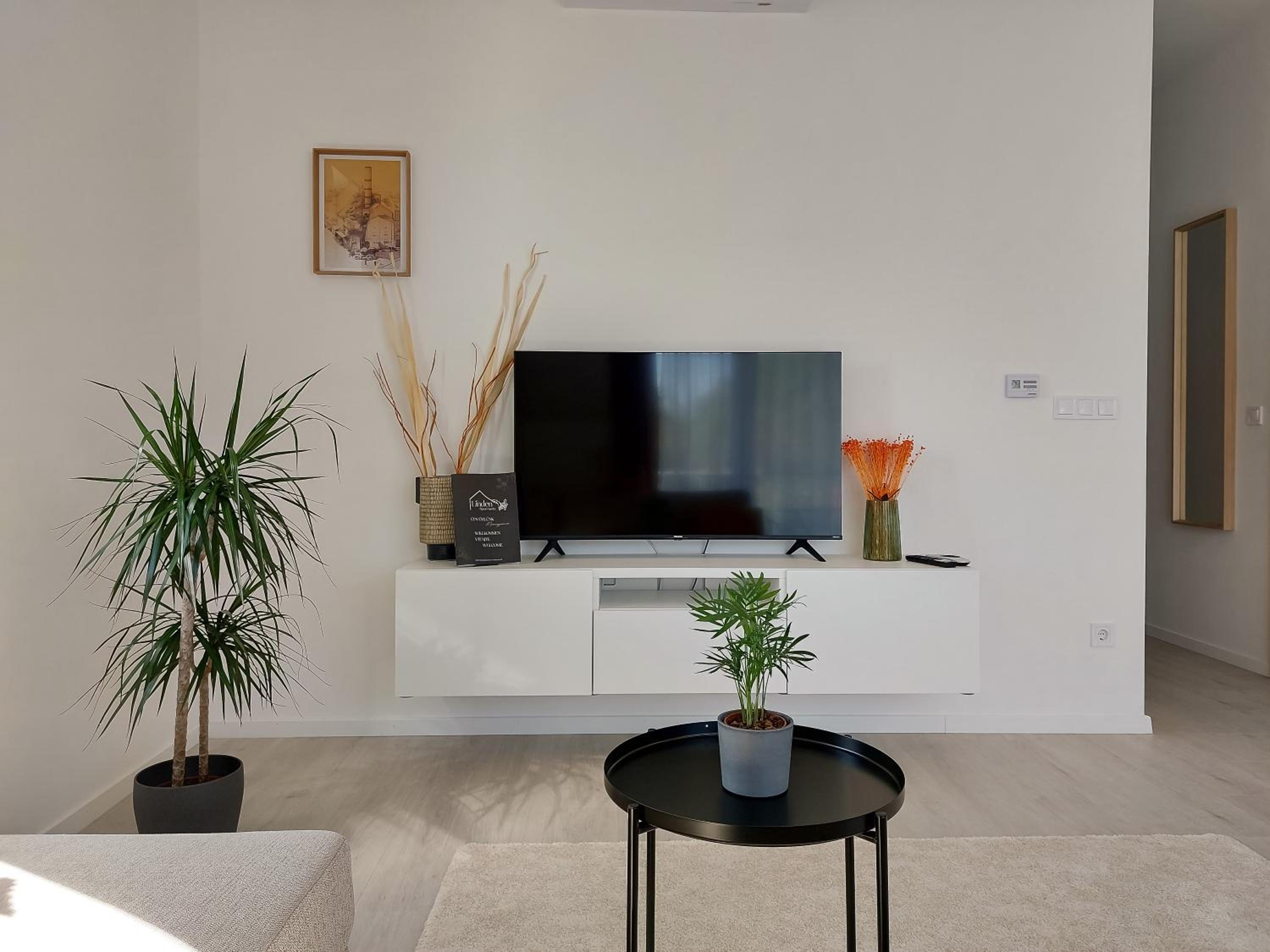 Linden Apartman 106 - Adults Only view 4