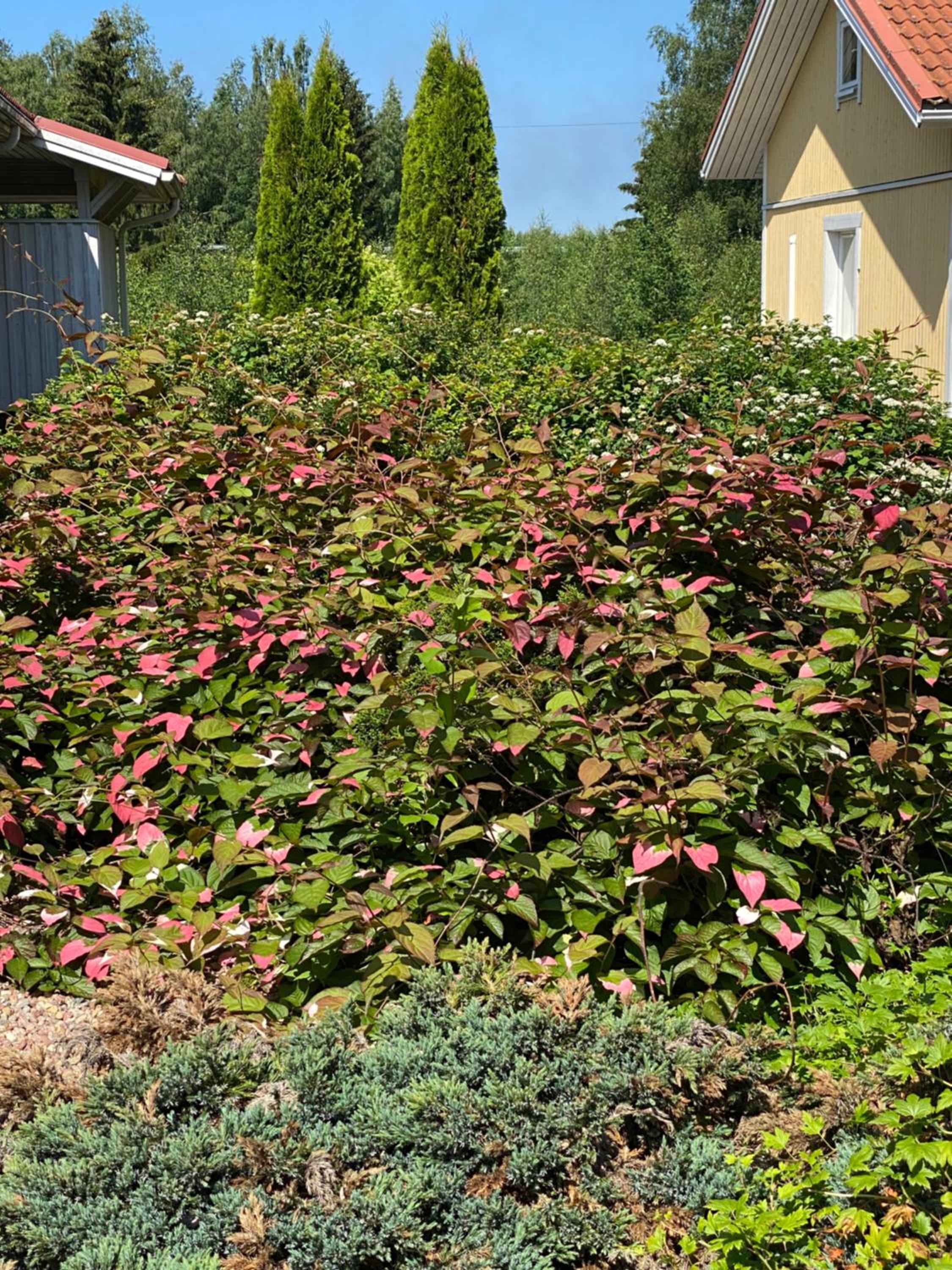 Talo Merikarvian keskustassa lähellä Merta!
