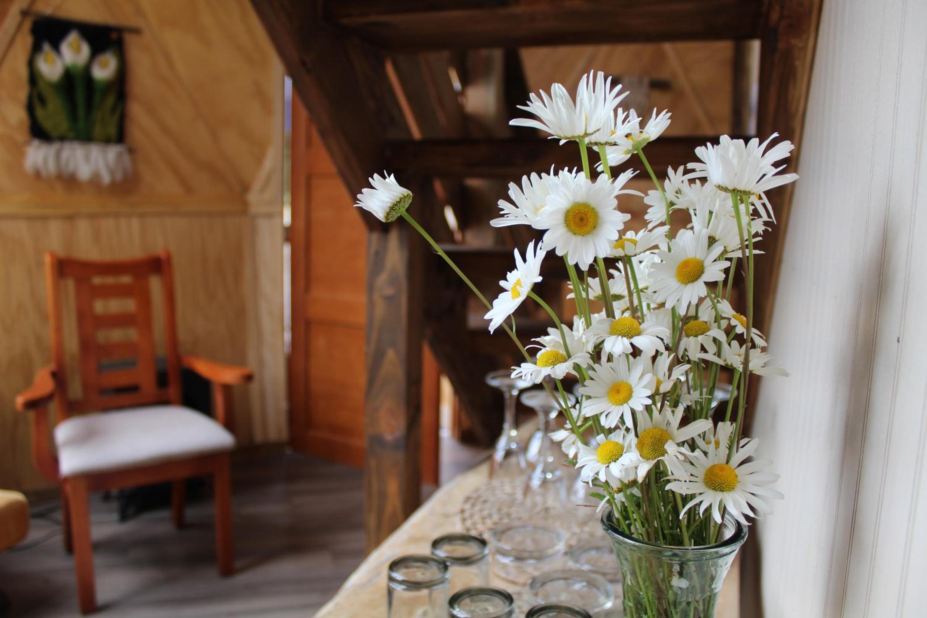 Lerun Sheg Lodge view 5