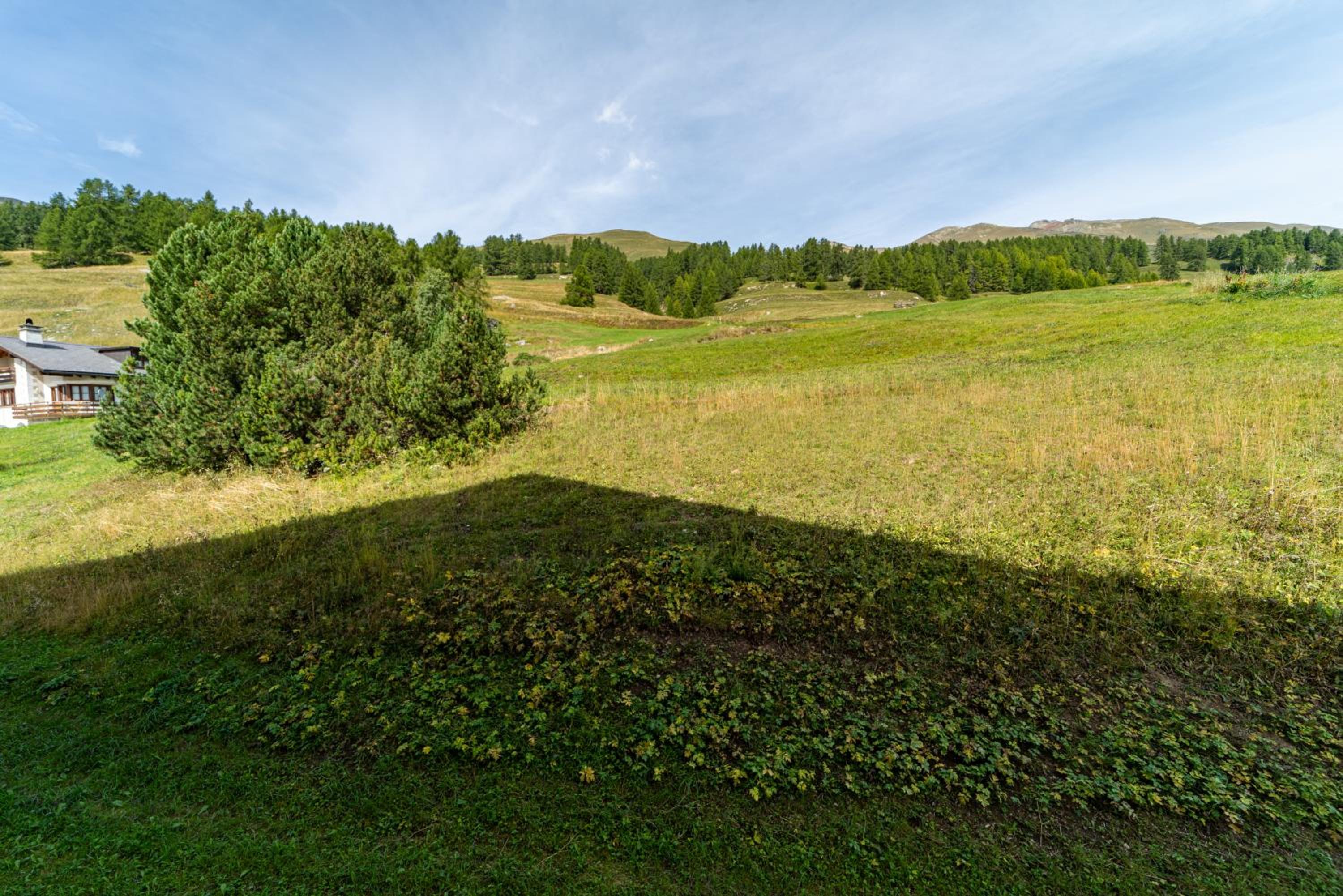 Chesa Gravulaina - Madulain