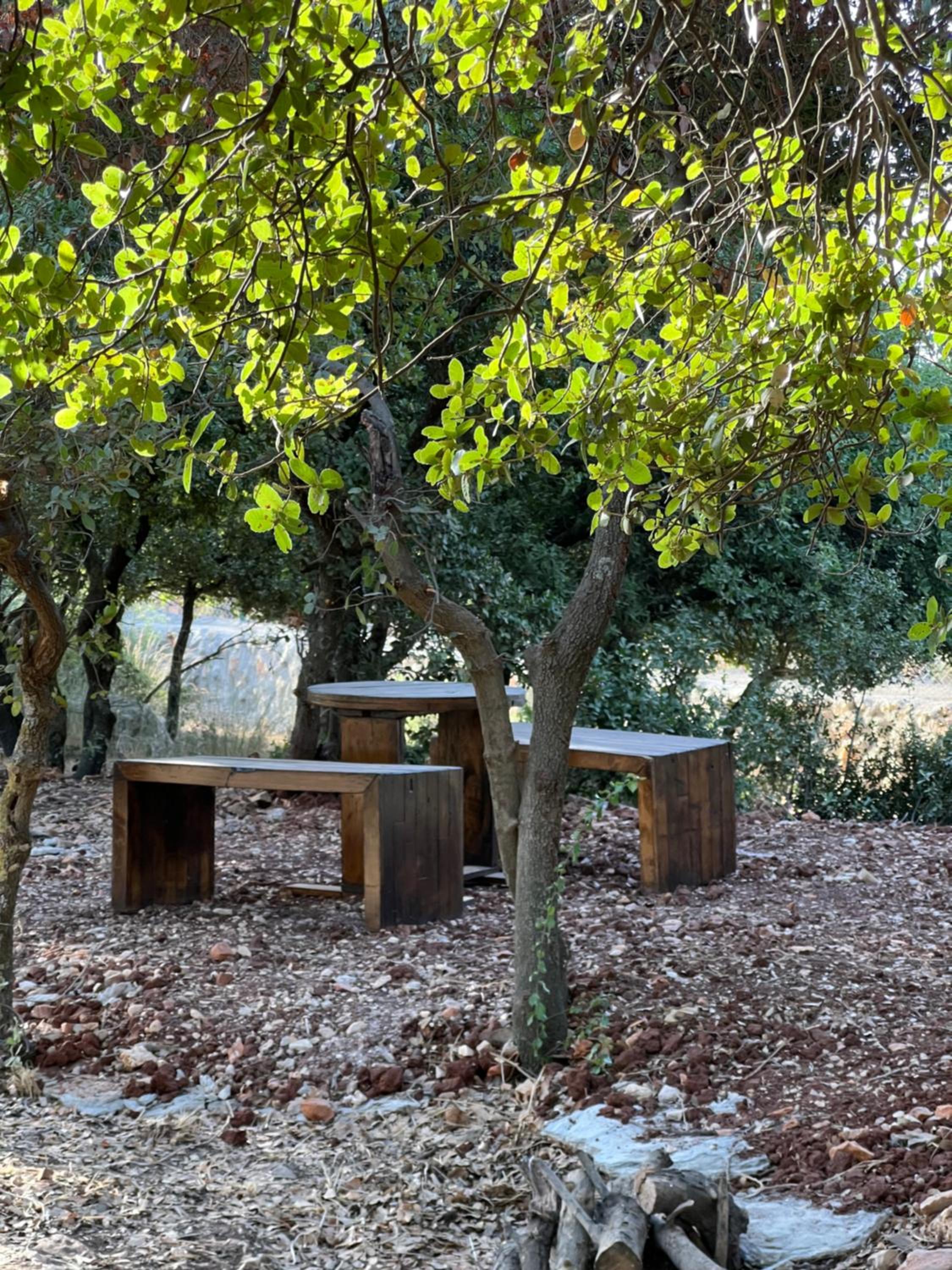 Nature Forest Cabins