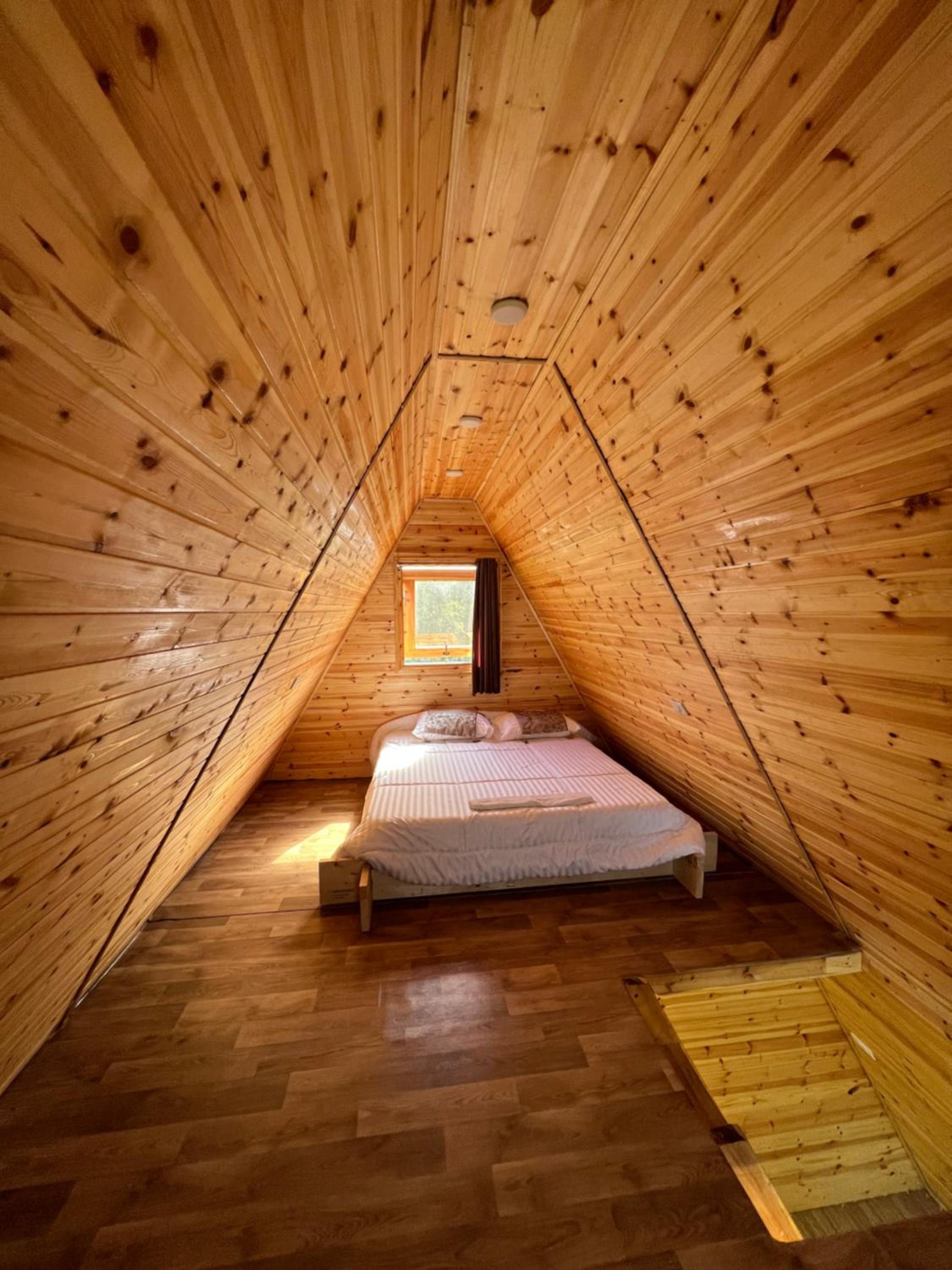 Nature Forest Cabins