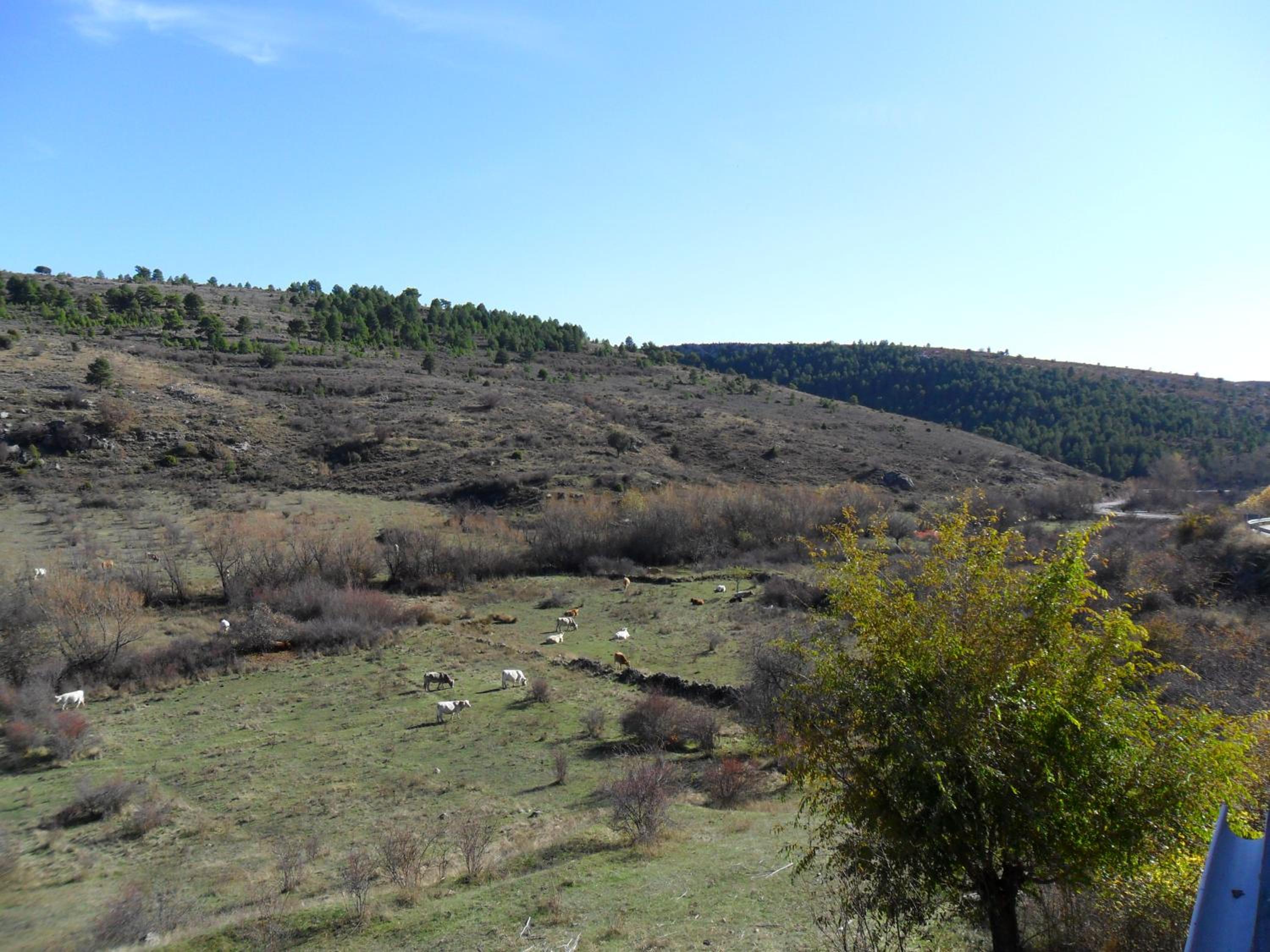Apartamentos Rurales El Tormagal