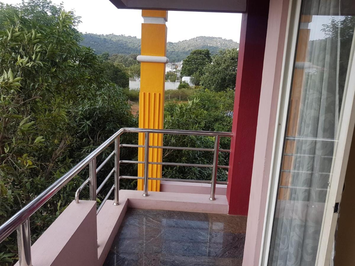 Dolphin resort view 5