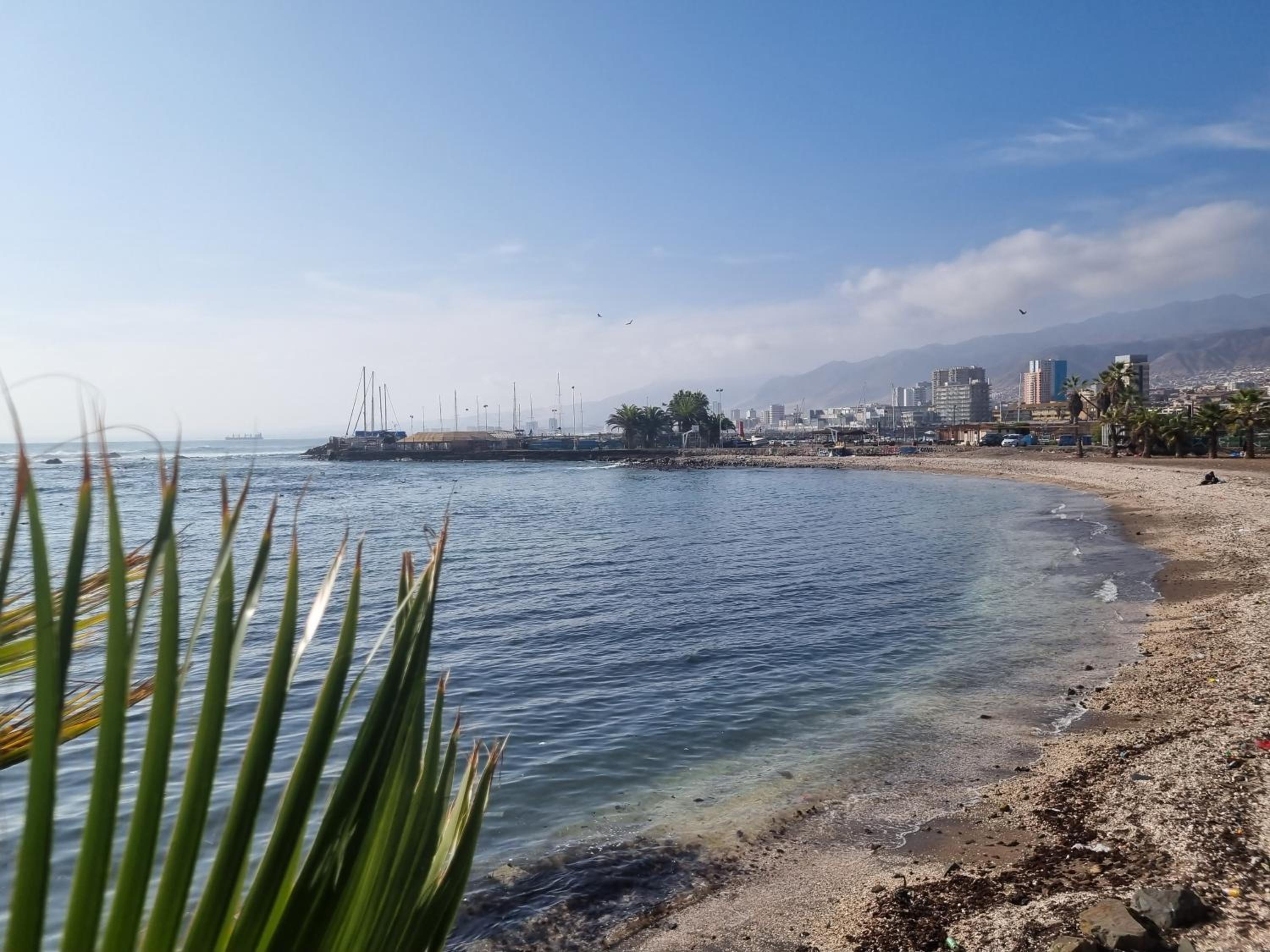 Antofagasta Inolvidable-SOLO ADULTOS