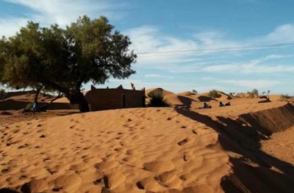 Bivouac Mille et Une Nuits