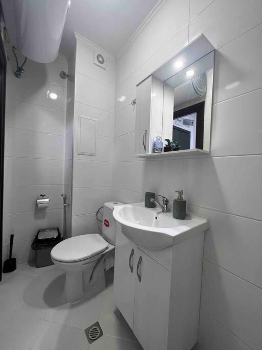 City Studio Asteri