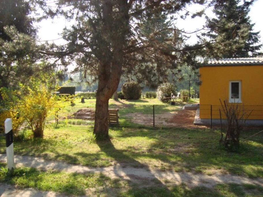 Ferienhaus mit Wintergarten am See (Angelparadies)