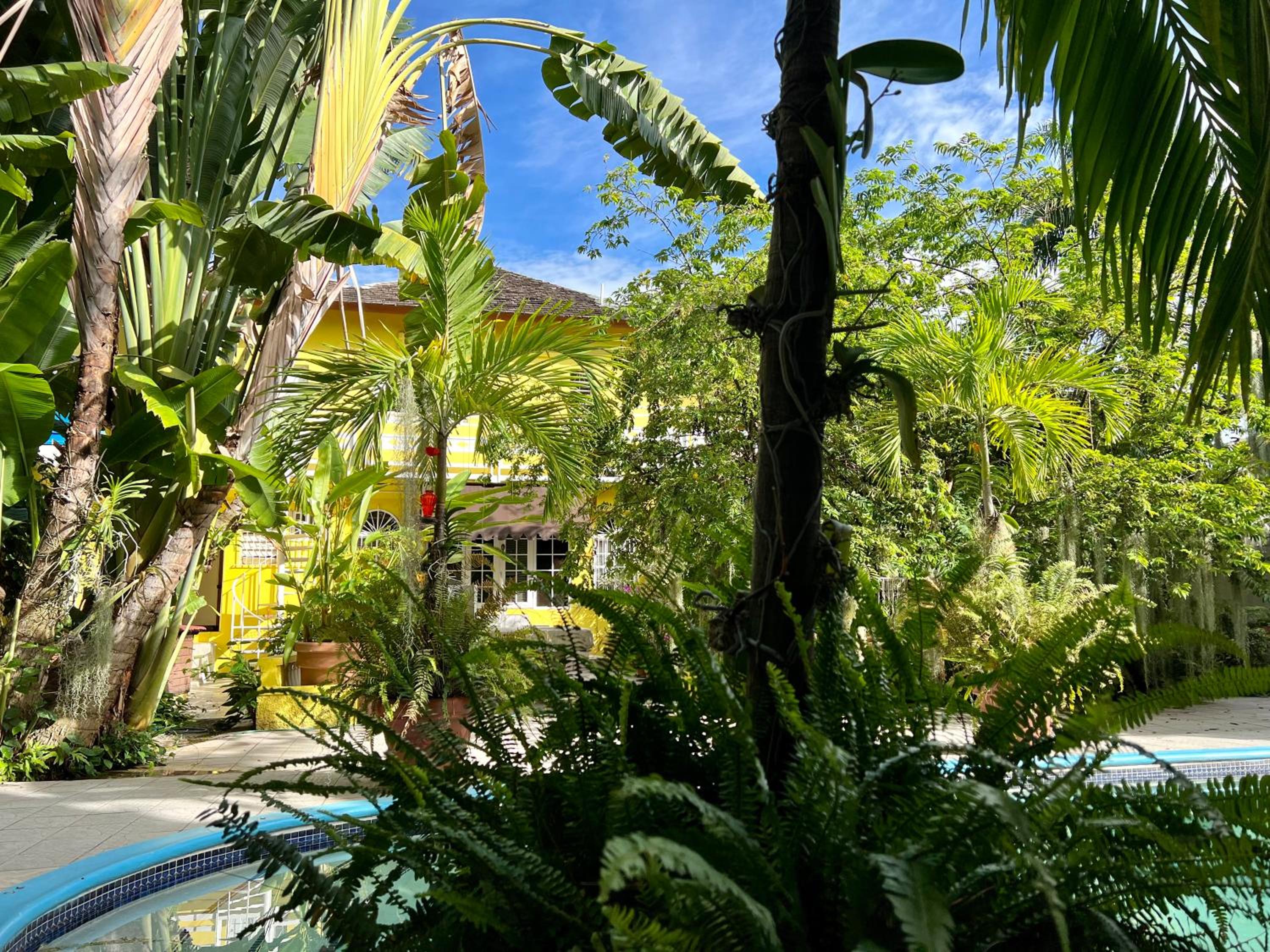 Orchid Cottage view 5