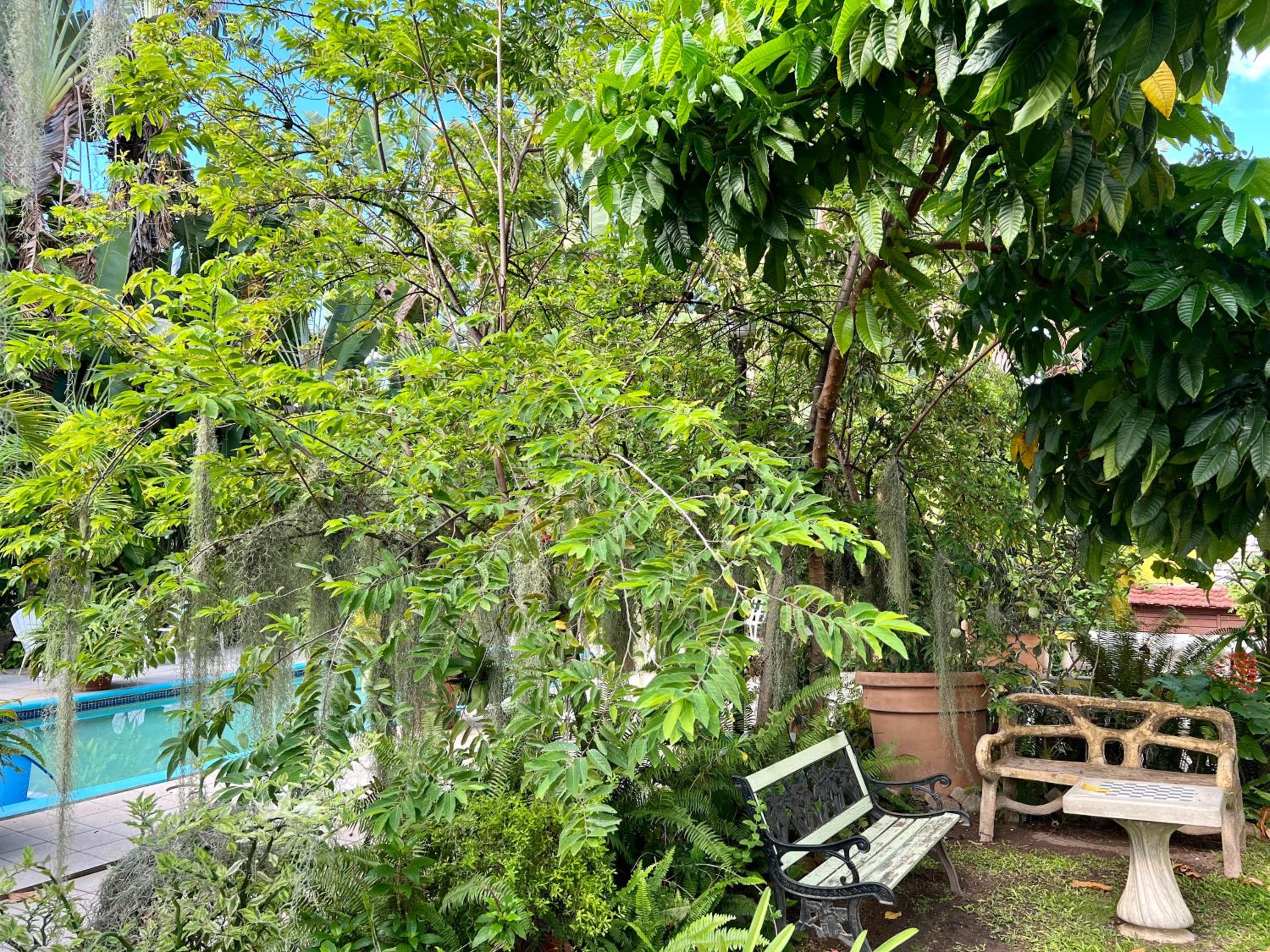 Orchid Cottage view 4