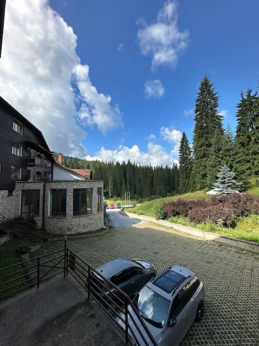 Forest view