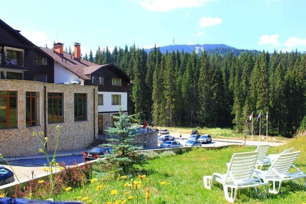 Forest view