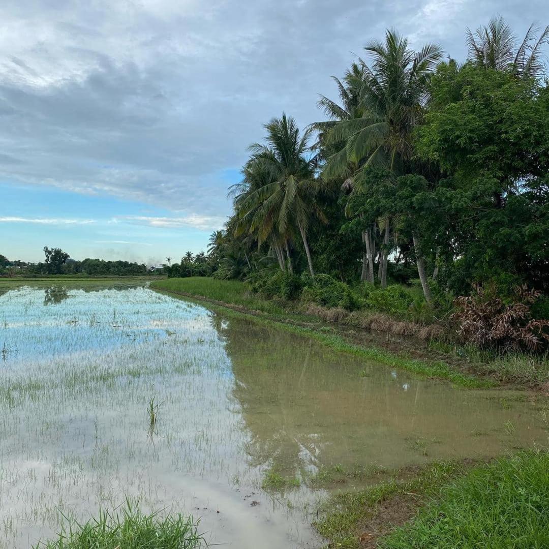 cinta homestay kuala kedah photo 8