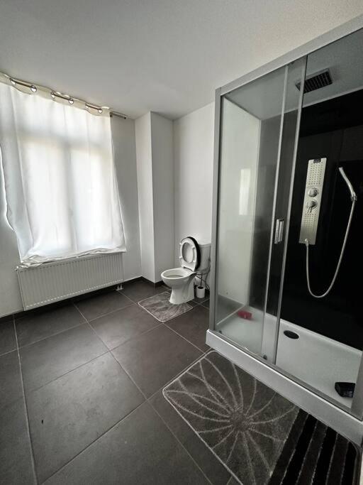 Grand Appartement cosy et lumineux
